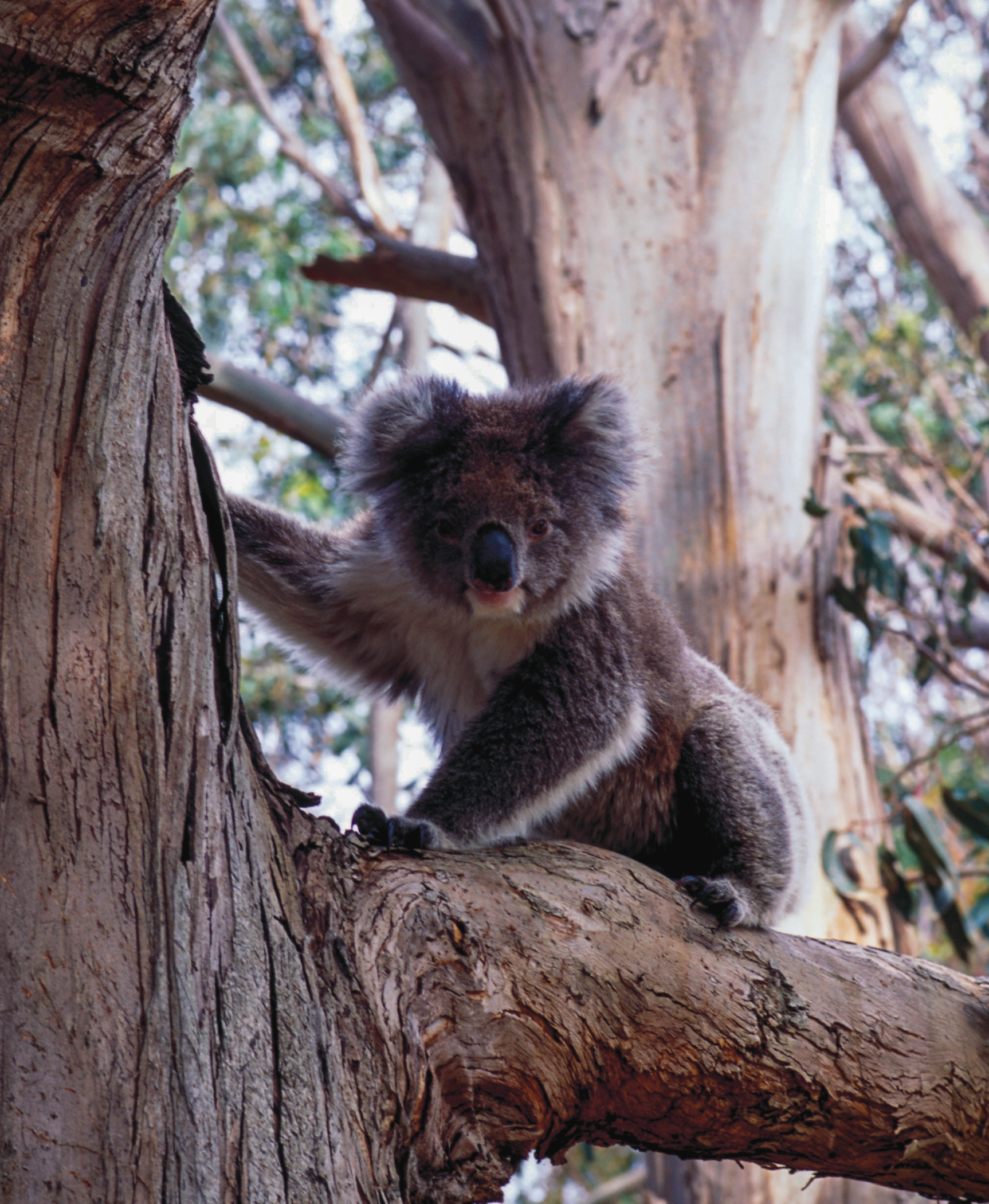 Screenshot 2026-01-25 at 20.15.16.png