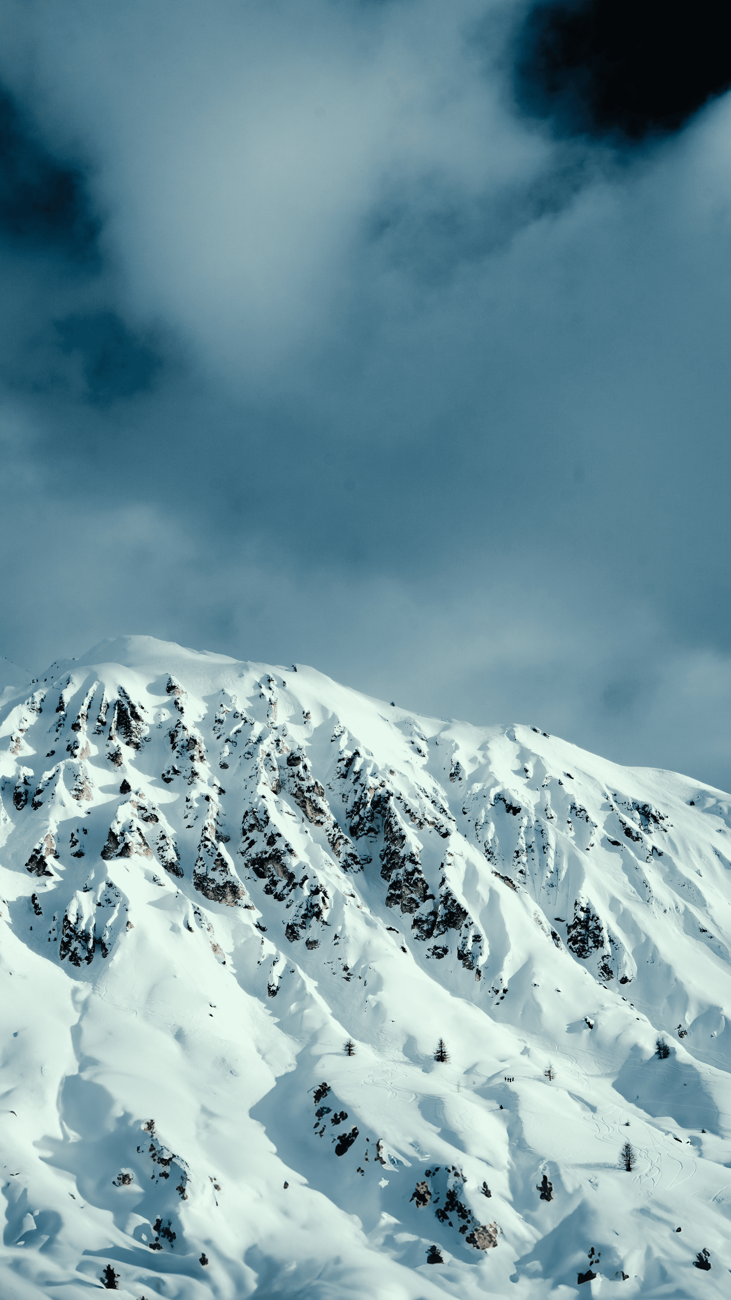 11032024-_DSC5547.png