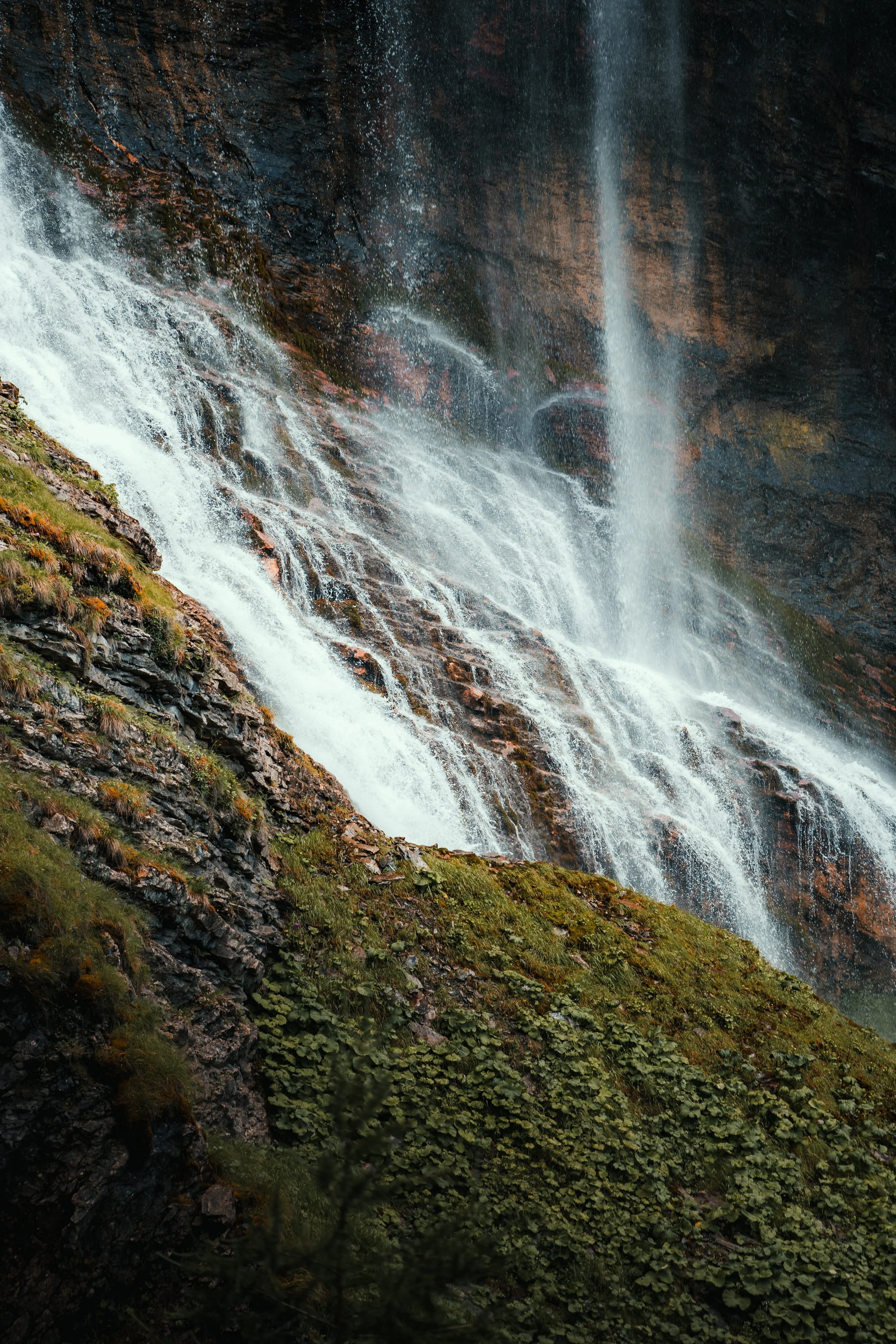 _DSC4298.jpg