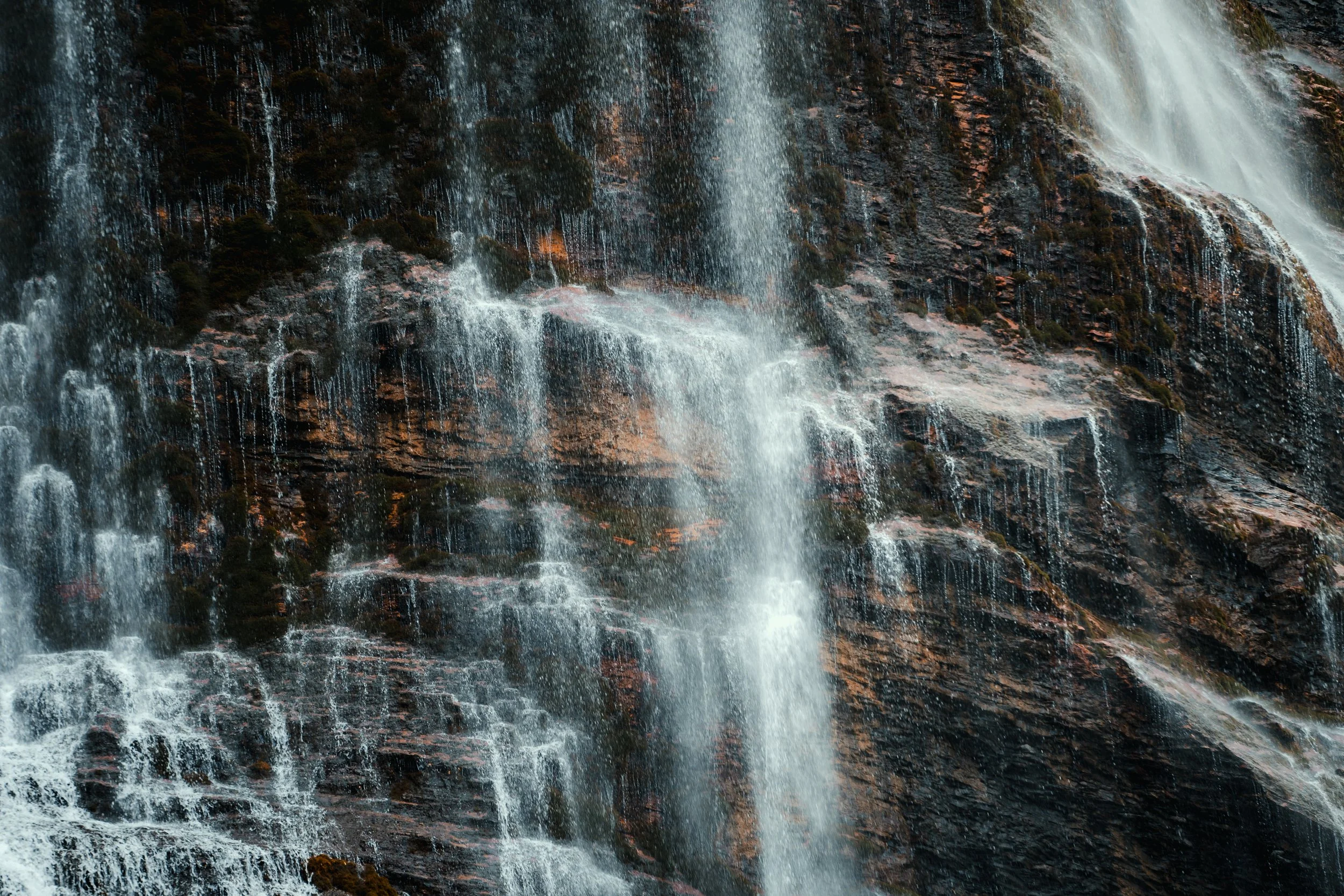 _DSC4292.jpg