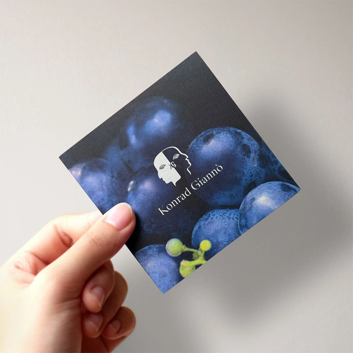 Gianno brochure in hand.jpg