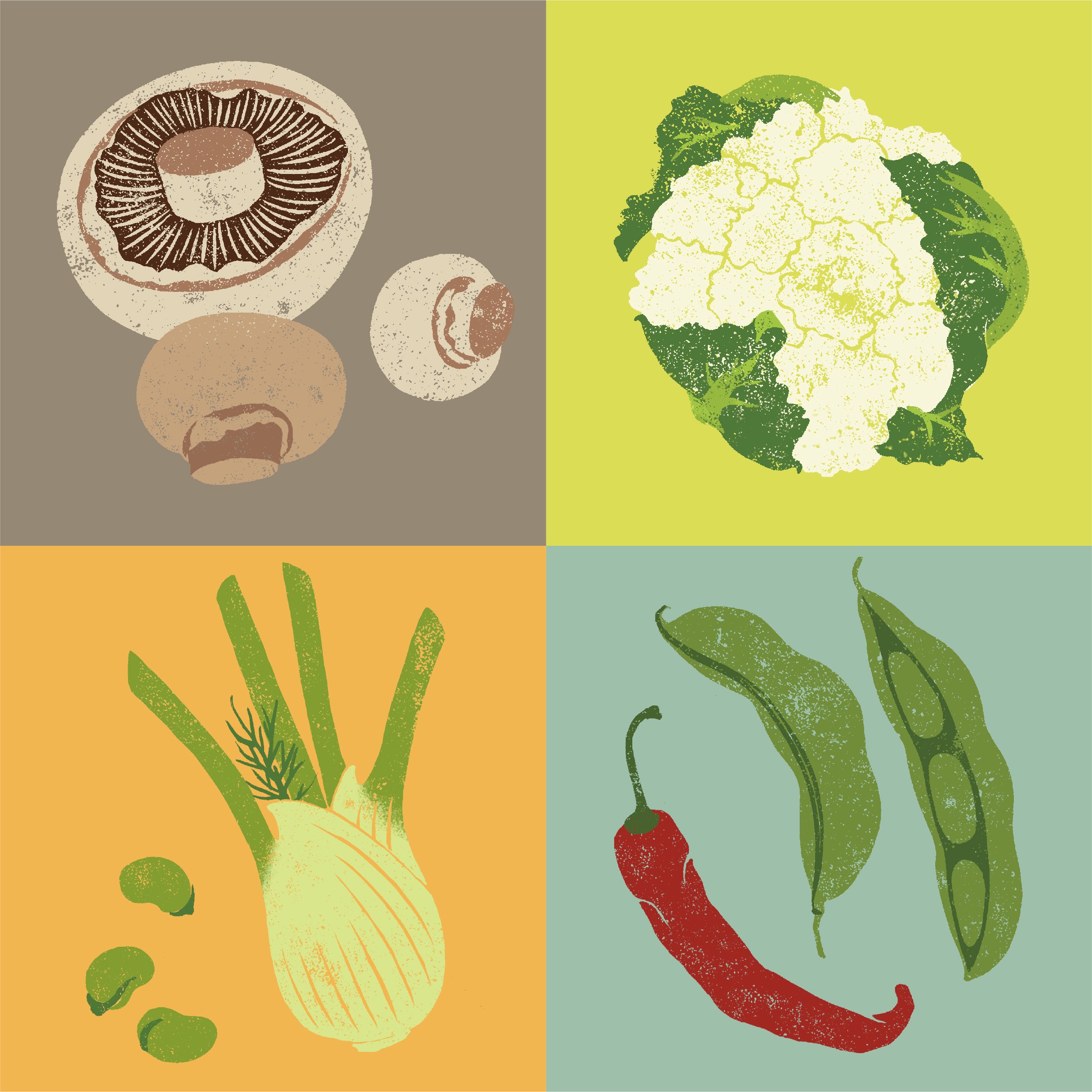 Lovely Vegetables illustrations
