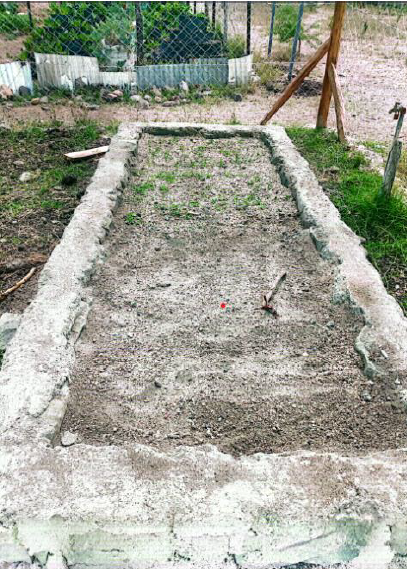 Seed Germination in the Garden Bed.png