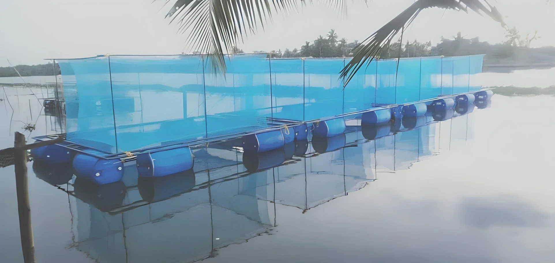 KFP 6.remini-enhanced.jpg