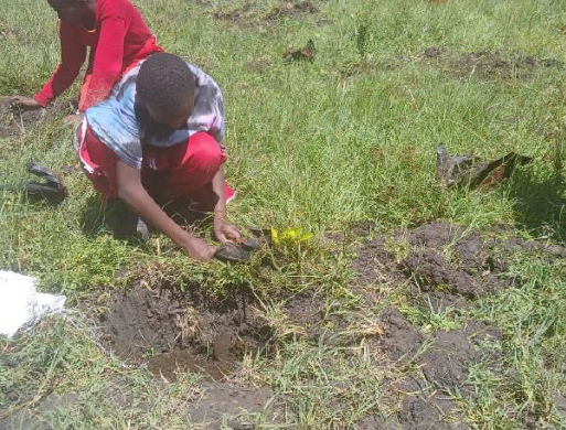 Planting 1.png