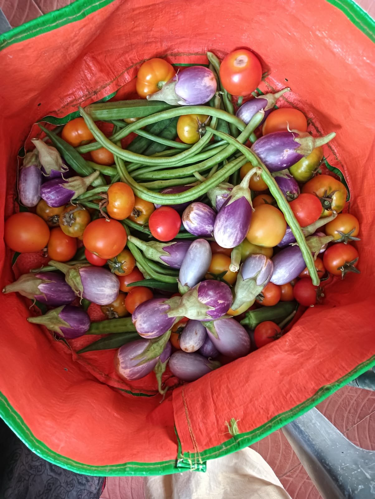 Garden Harvest 2.jpg