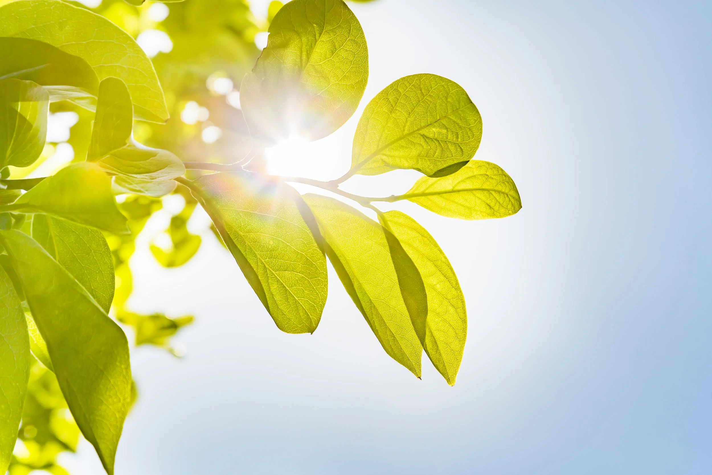 Fast Company: The Decarbonization Benefits of eFuels
