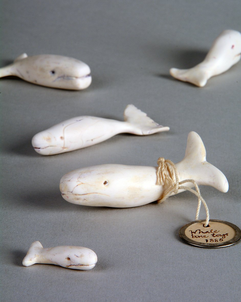 whales2_2931.jpg