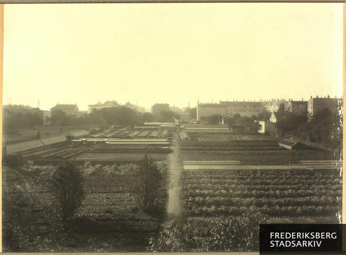 Billedet er taget fra kirkegården i retning mod Vesterbrogade. Vejen, der skærer sig ned gennem billedets midte, har omtrent samme linjeføring som Schlegels Allé, der anlagdes ca. 1908