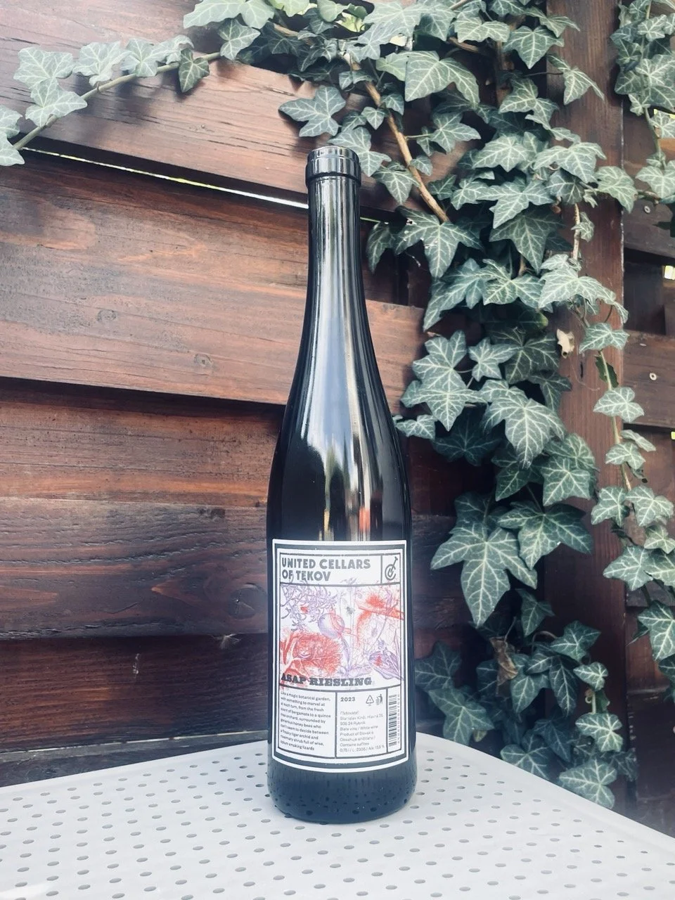 Tekov Cellars ASAP Riesling 2023 bottle