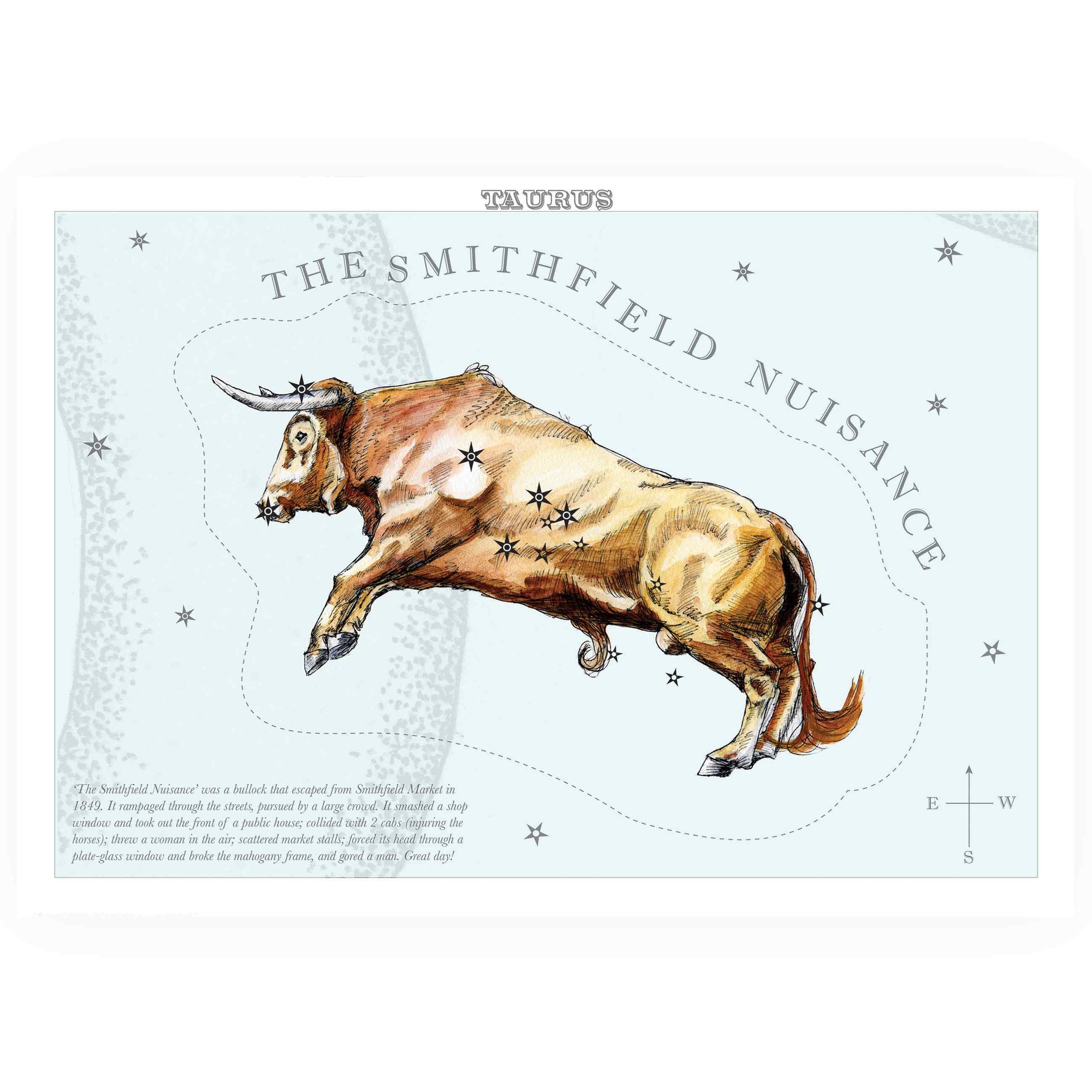London_Animal_stars_Taurus_Smithfield_bull.jpg