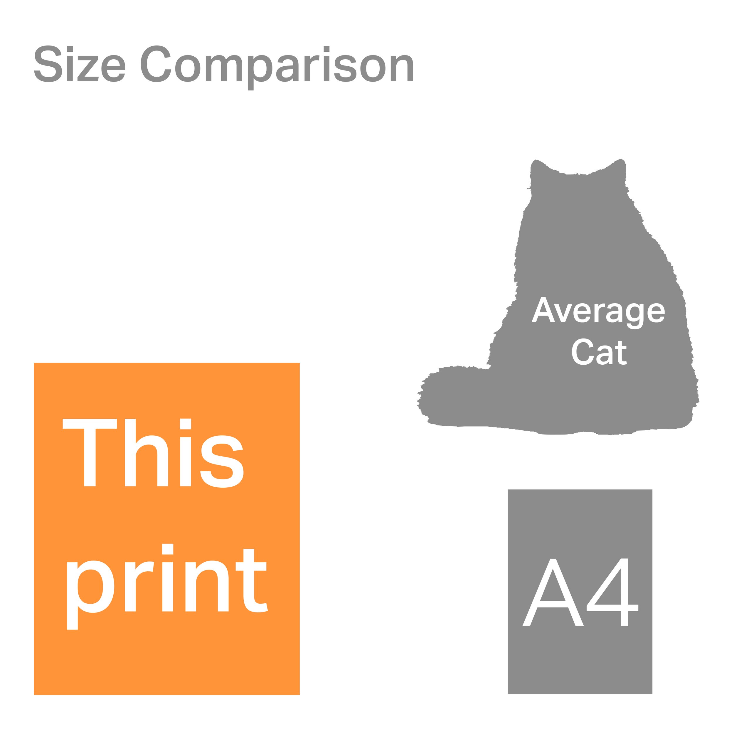 40x50cm_comparison.jpg