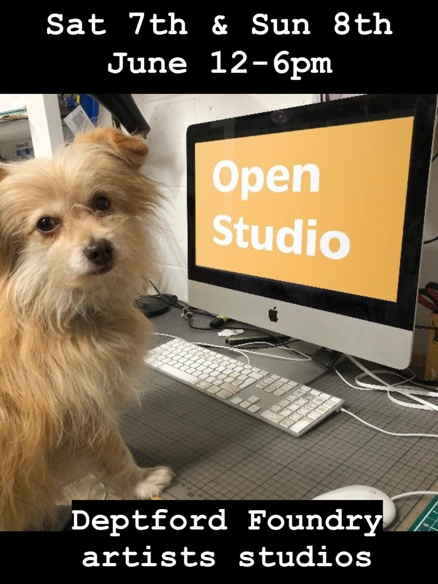 Next weekend!
A little furry reminder our open studios is happening Saturday 7th and Sunday 8th June 12-6pm.
Find us and dozens of other artists and designers @secondfloorstudios Deptford Foundry and Foreshore sites
Unit CA03, Casting House
Moul