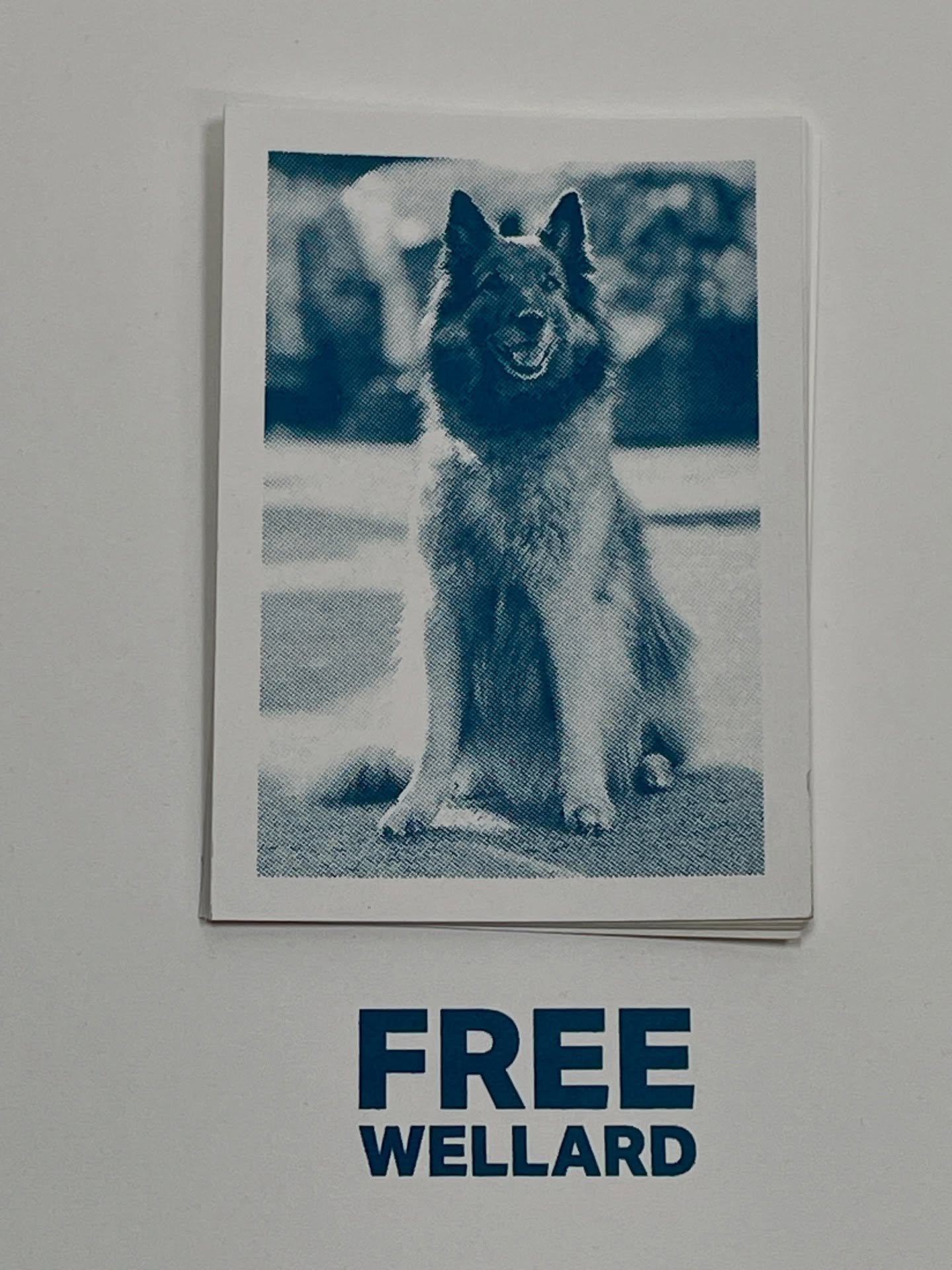 Free Wellard!
Free Deirdre Rashid!
Who remembers the campaigns to free the soap characters Wellard the dog (East Enders) or Deirdre Rashid ( Coronation Street)?
This weekend the first few lucky visitors to our Open Studios will get ( if so wished)