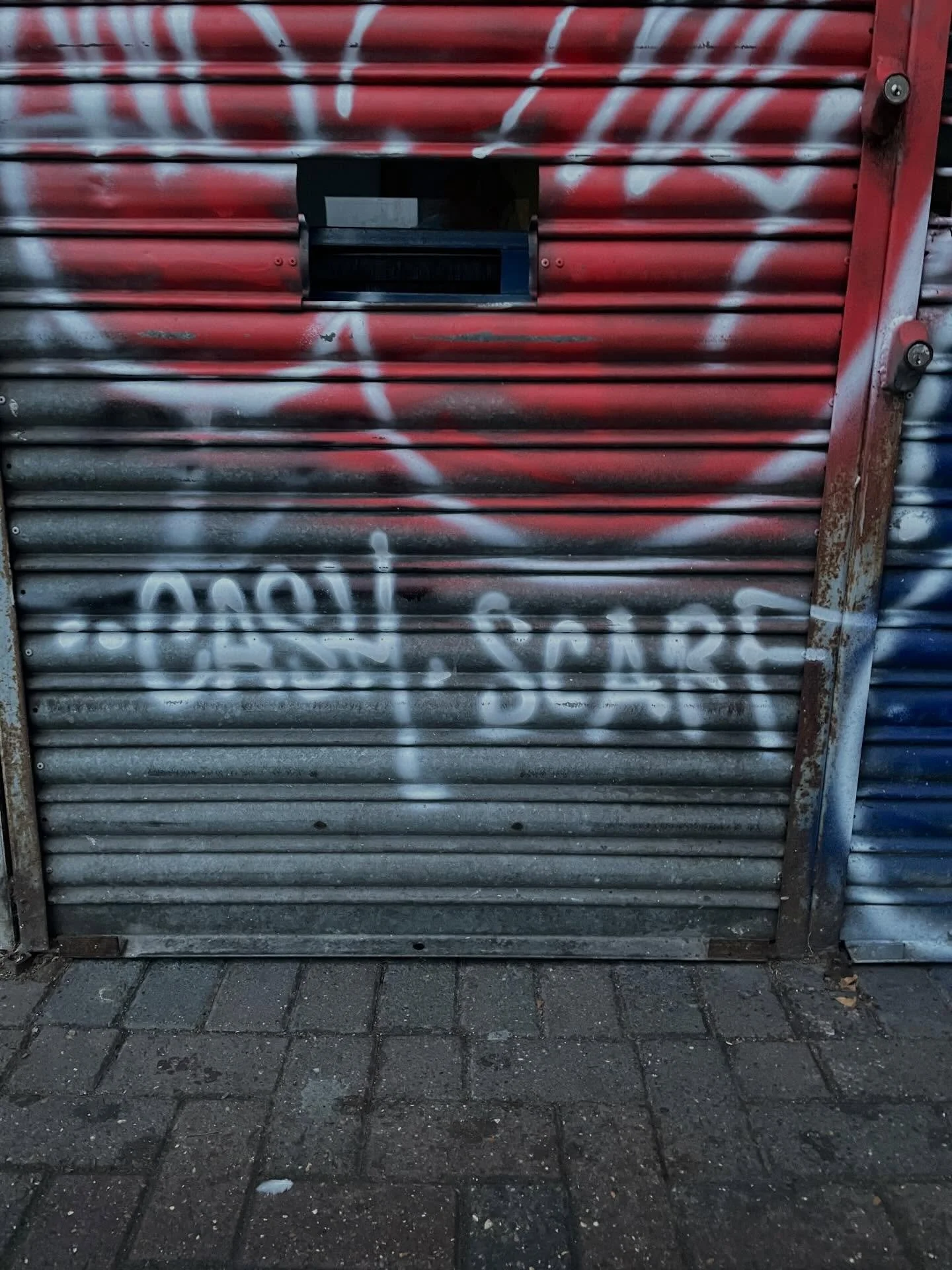 Final Christmas Gift Guide - Cash or Scarf?