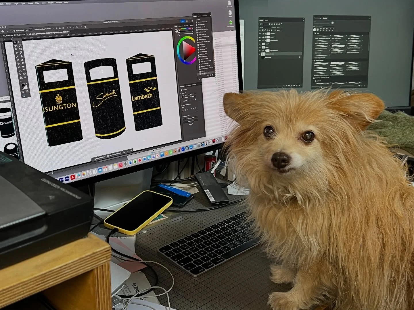 Studio Assistant has spent the day preparing new images for our website! He thinks he deserves a treat, we wouldn&rsquo;t disagree.