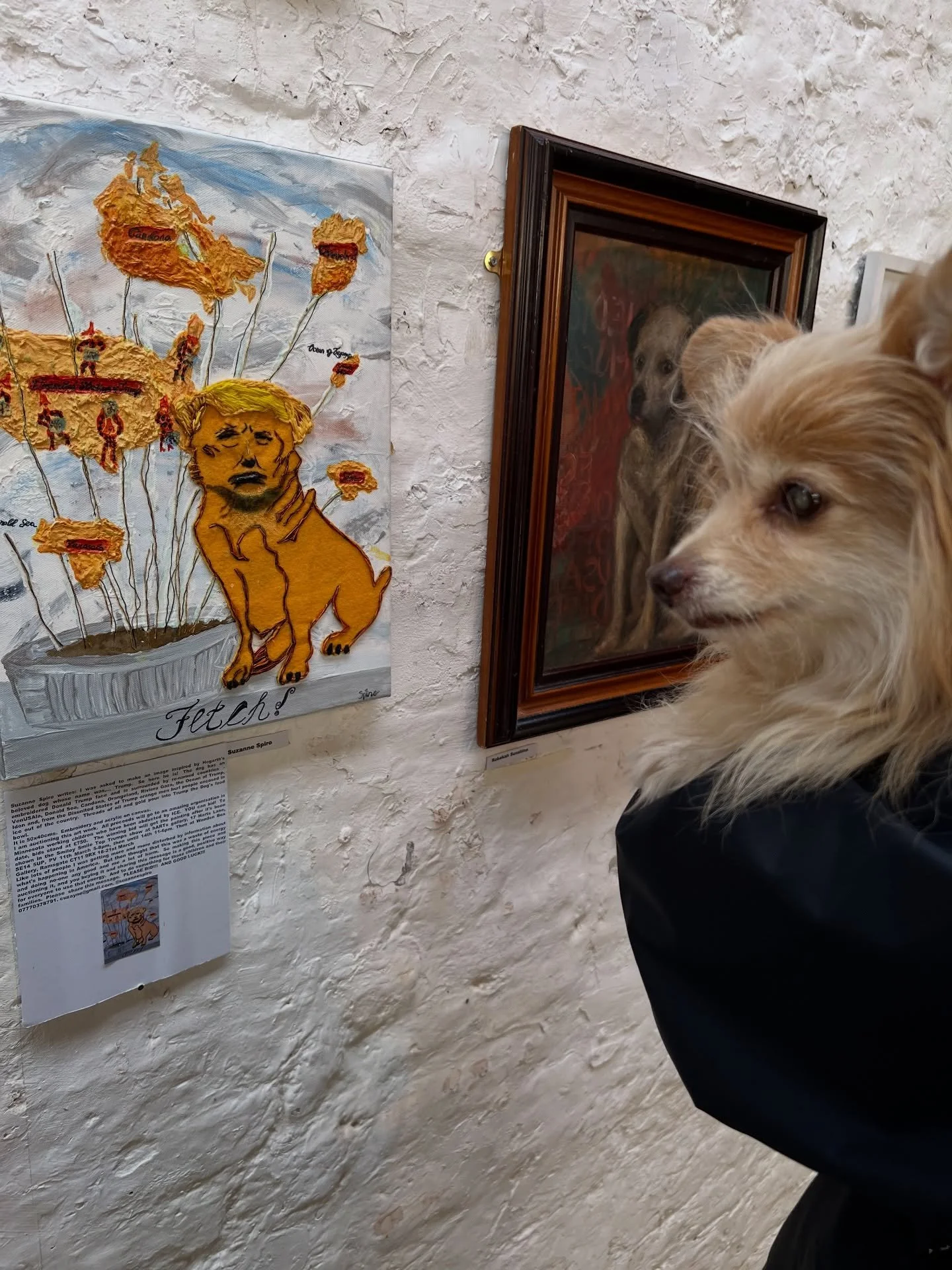 Since the last exhibition we took Dante to was cat themed one, we thought it only fair we took him to a dog themed one next.

Thankfully &lsquo;Top Trumps&rsquo; curated by @harrypyepaintings at The hArts Lane Gallery just down the road in New Cross 