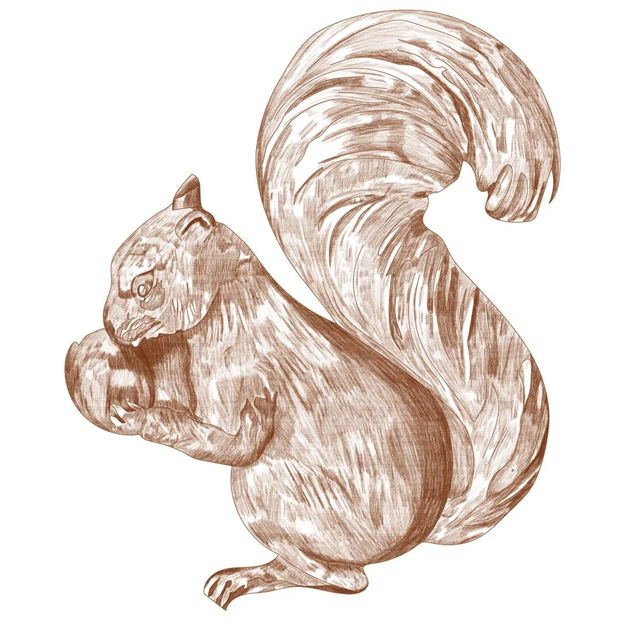 The Making of our Two Temple Place Commission