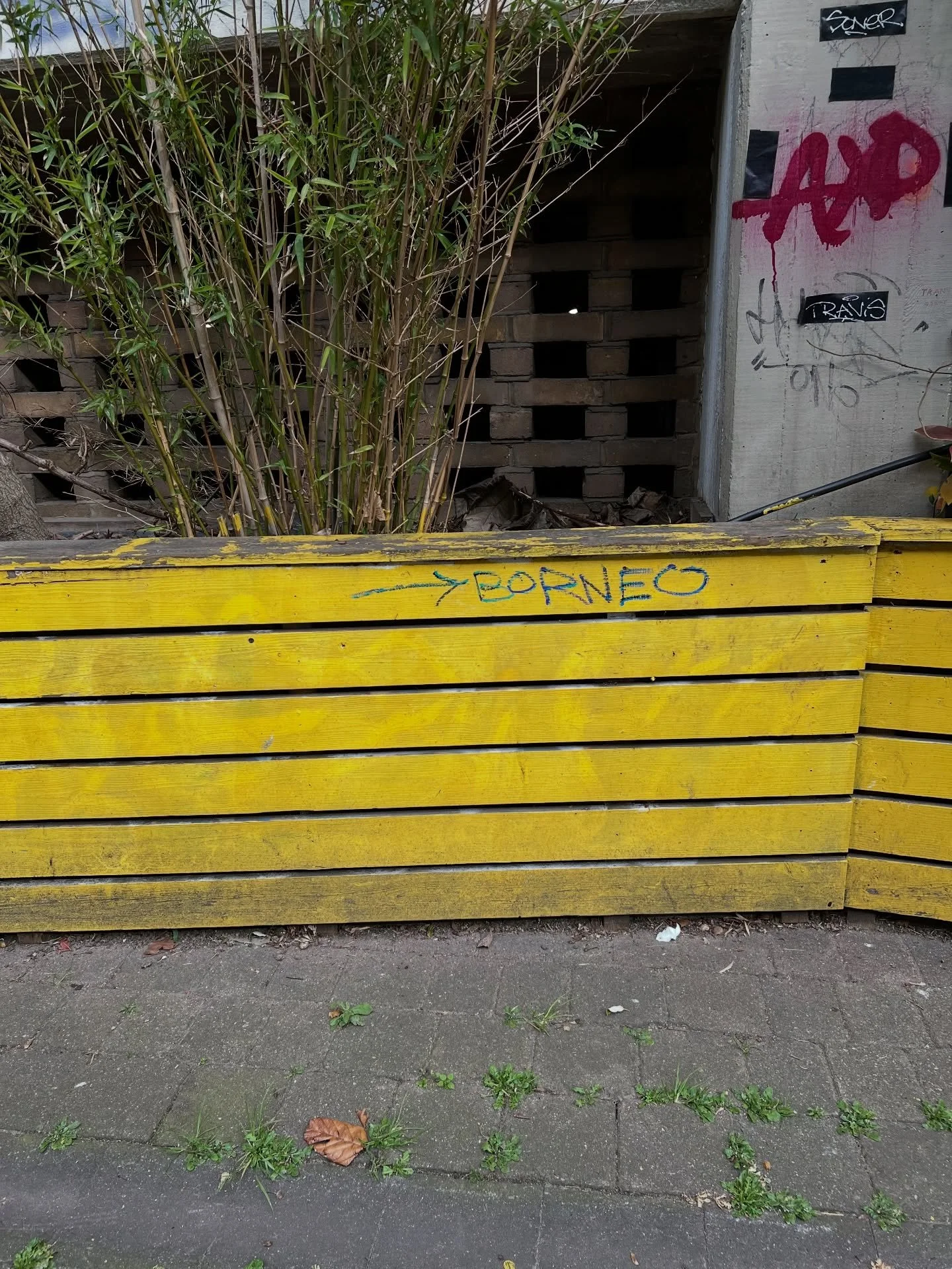 We have travelled from Peckham to Borneo some years back and can confirm better signage than this is needed