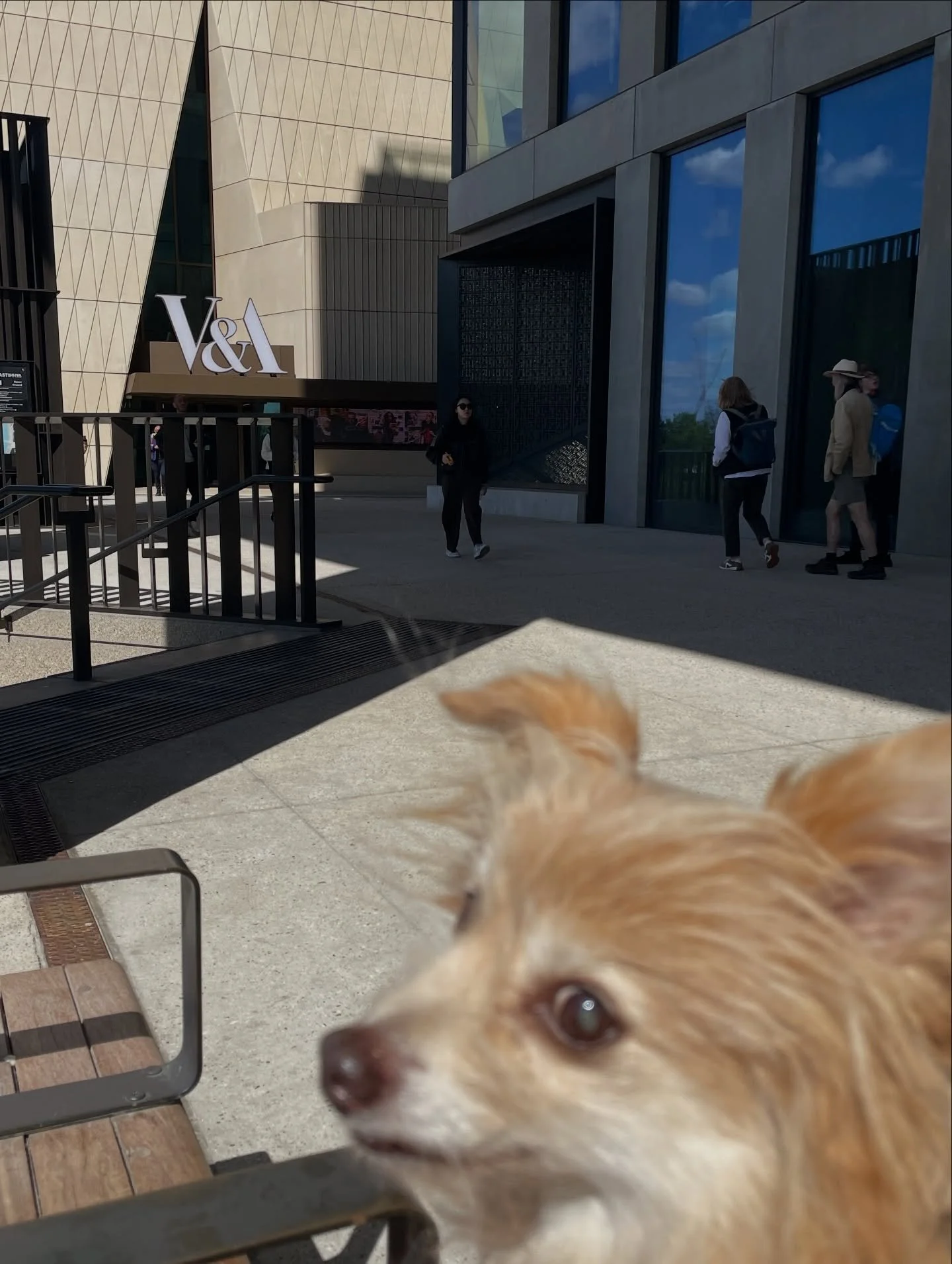 The new @vam_east opened this weekend and we are delighted they are stocking our Hackney and Tower Hamlets bin badges in their amazing new shop! 

We were also chuffed to see our London Cat and Dog map tea towels had made it east too!

The museum its