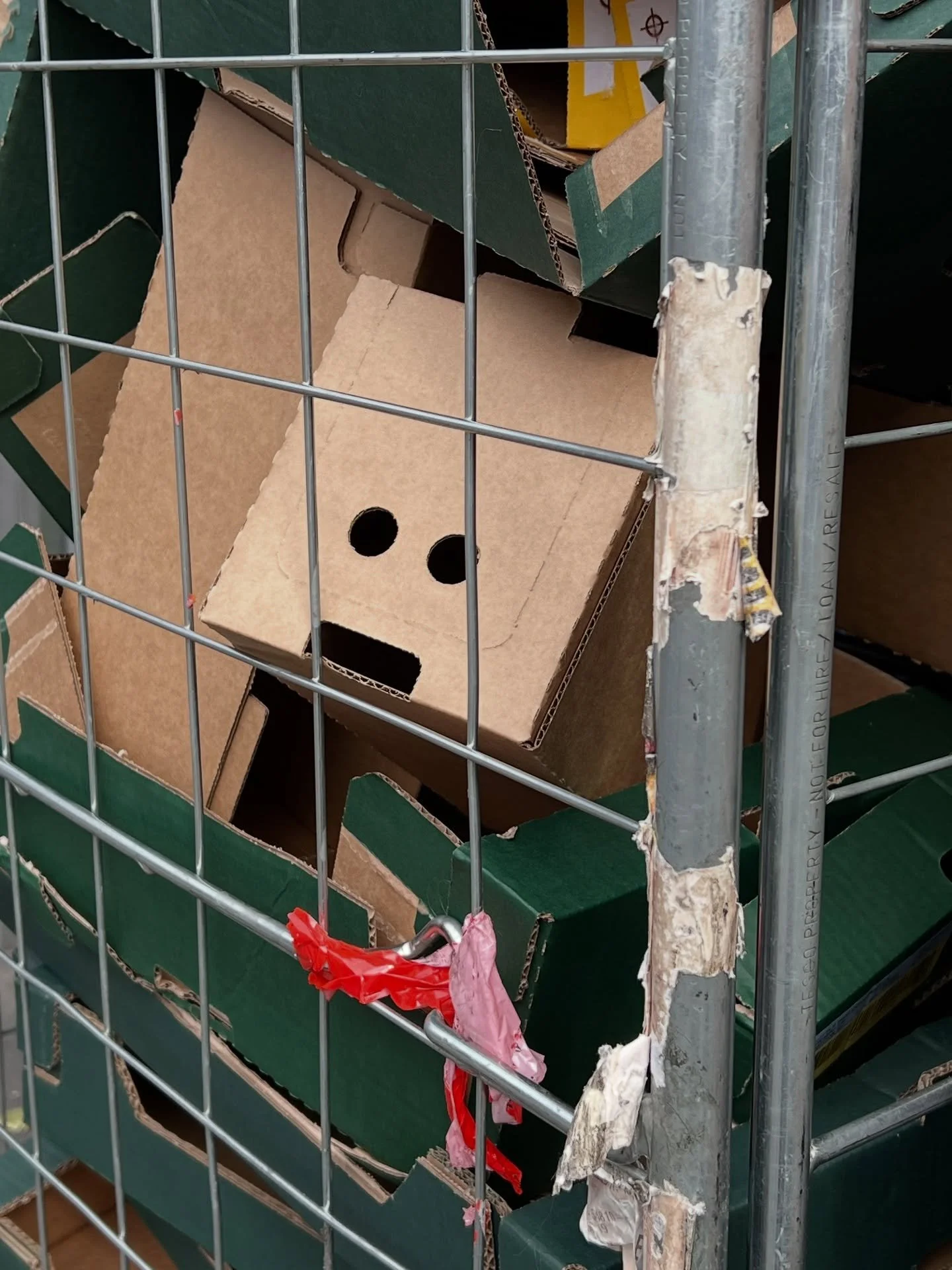 Cardboard box prison
