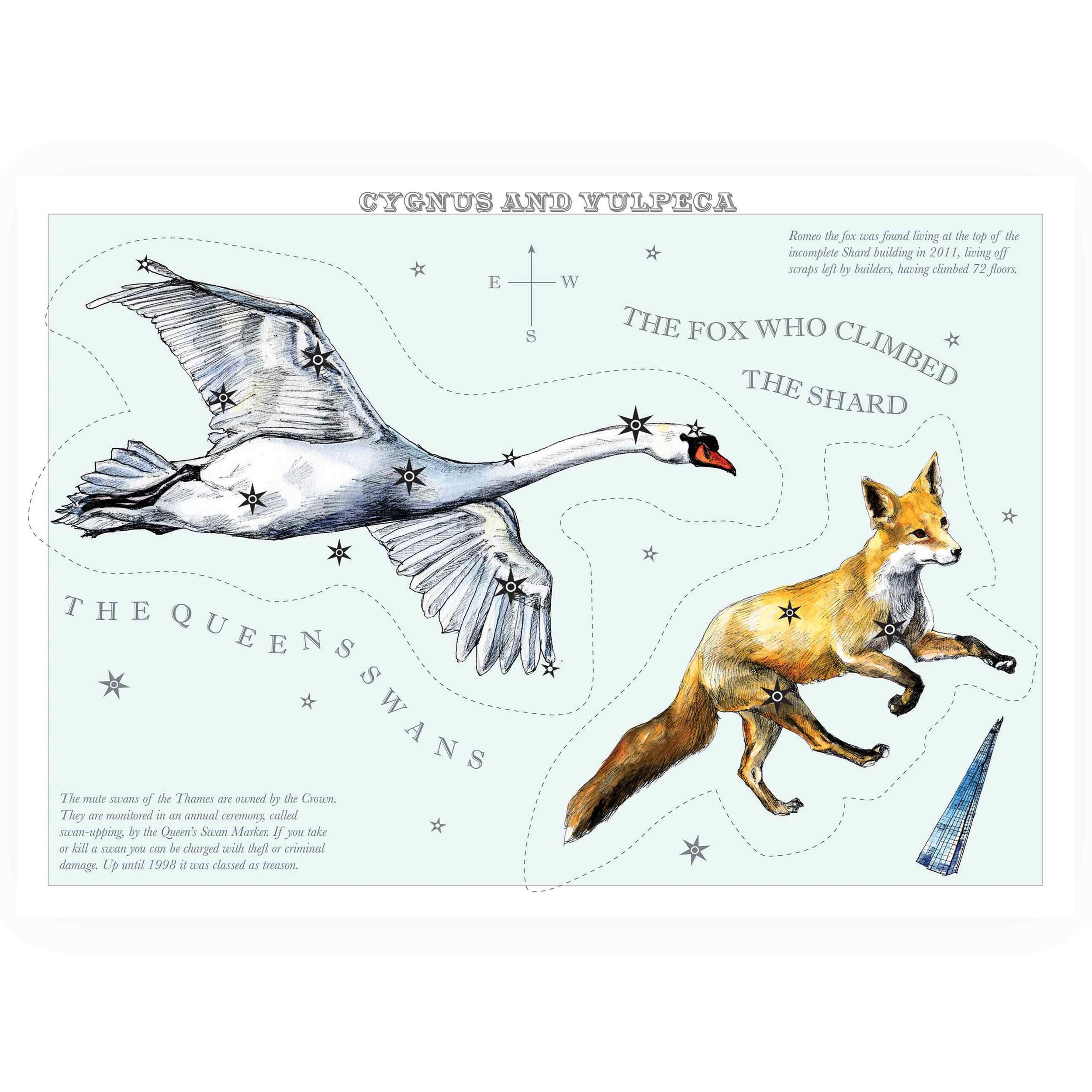 London_Animal_stars_Cygnus_And_vulpeca_Shard_Fox_Queens_Swans.jpg