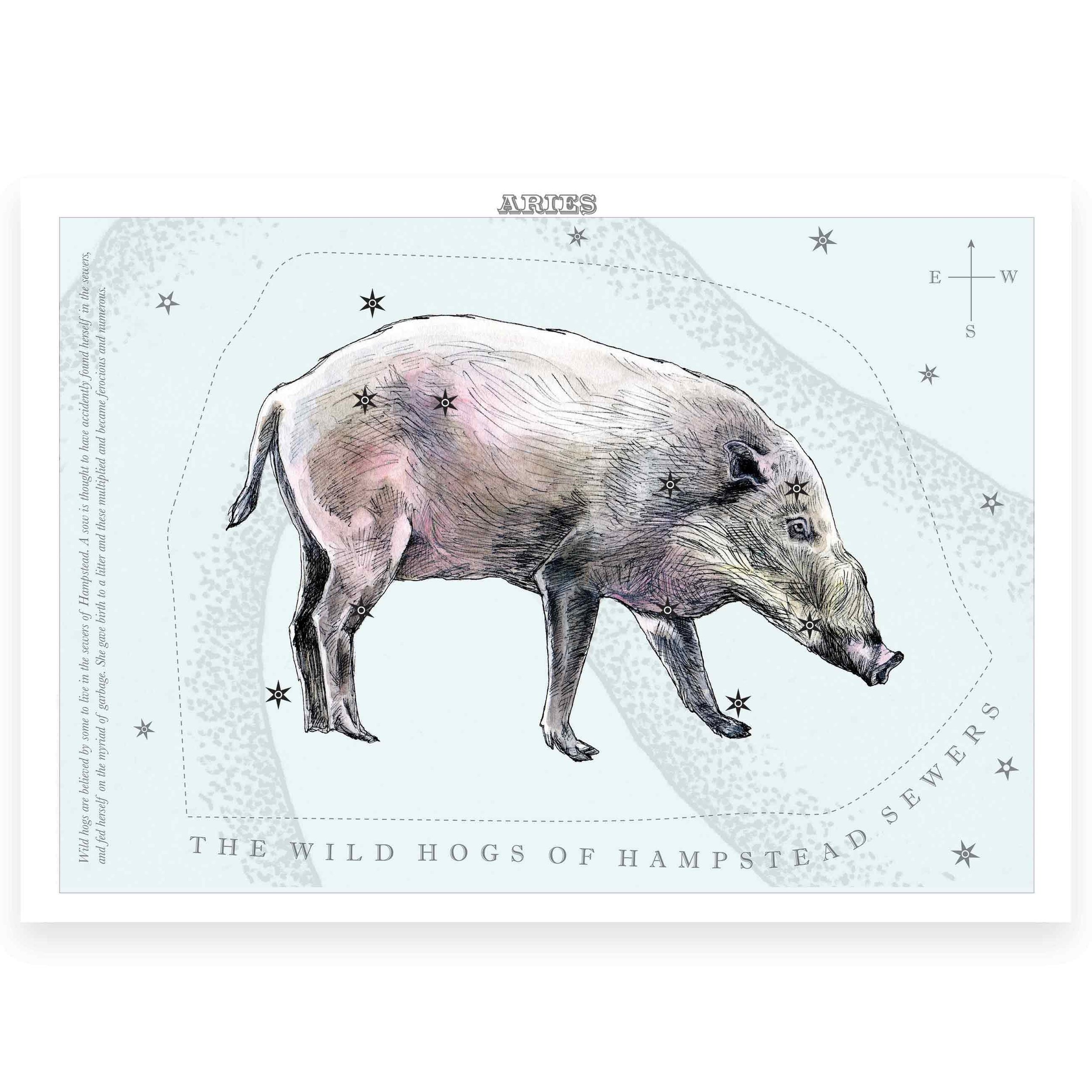 London_Animal_stars_Aries_hampstead_hog.jpg