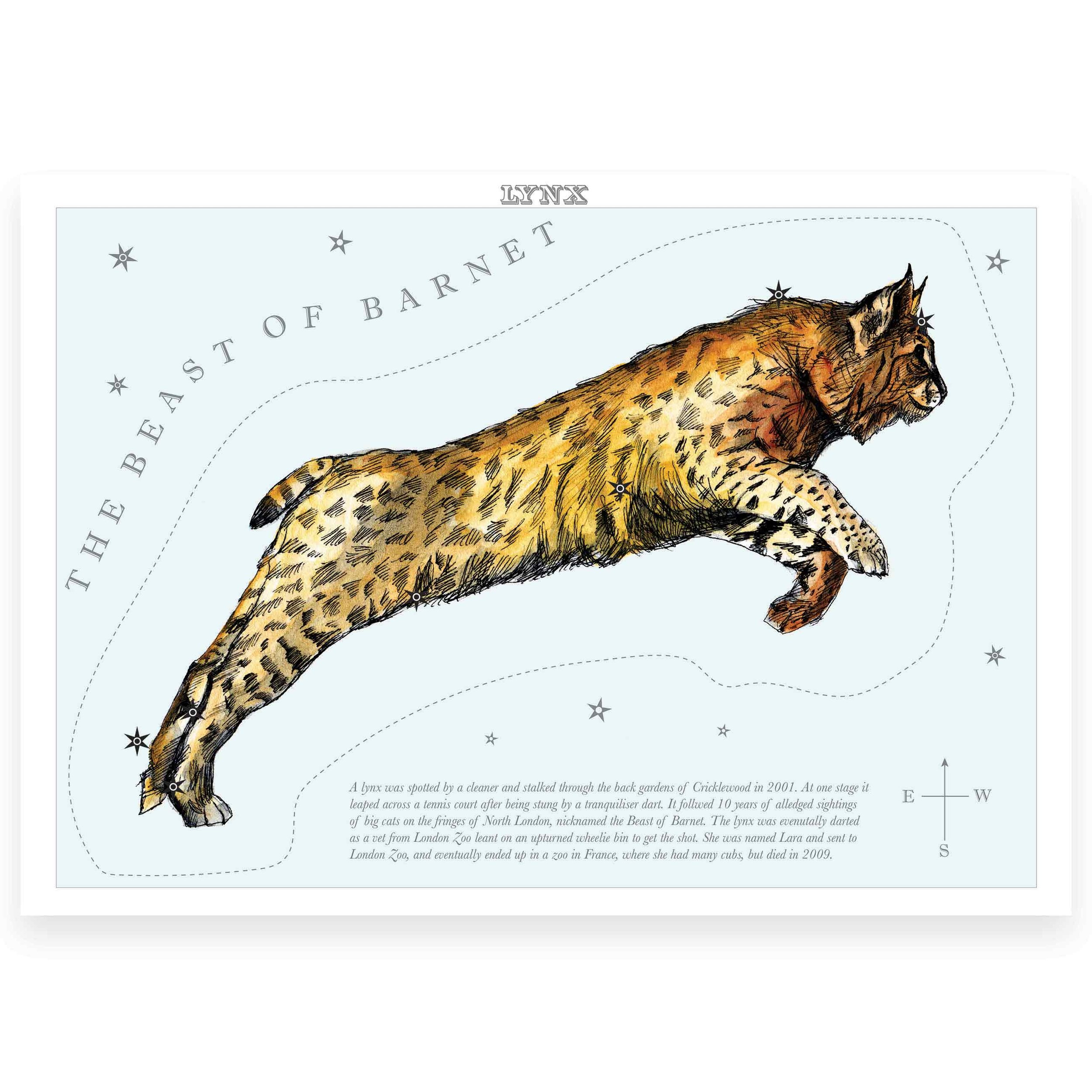 London_animal_stars_Lynx_beast_of_barnet.jpg