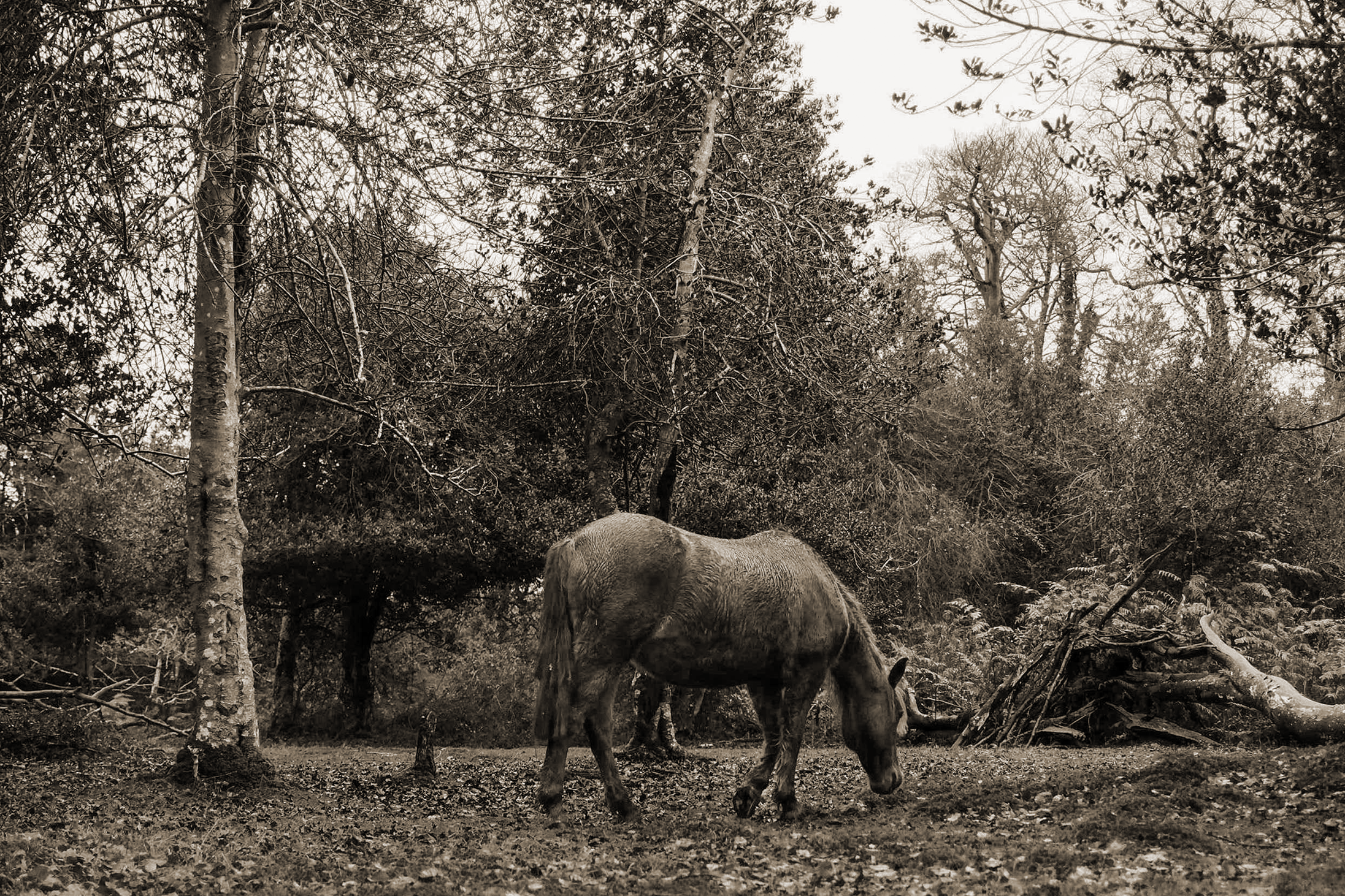 Creative Escape 2025