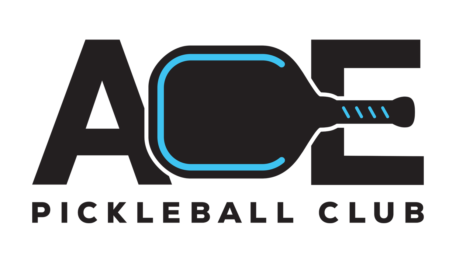 Ace Pickleball Club Franchise