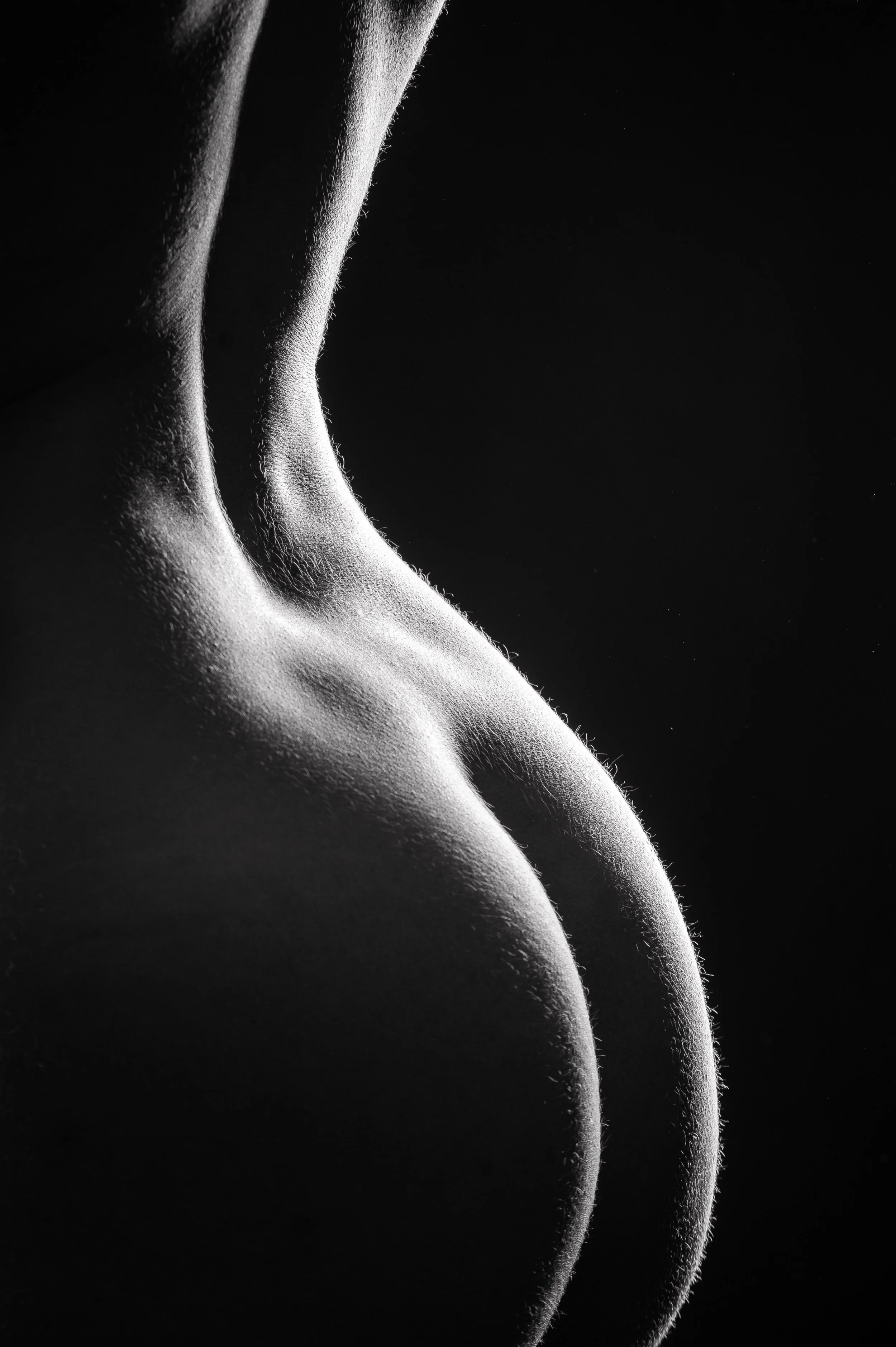 Photos Site Alain-54.jpg