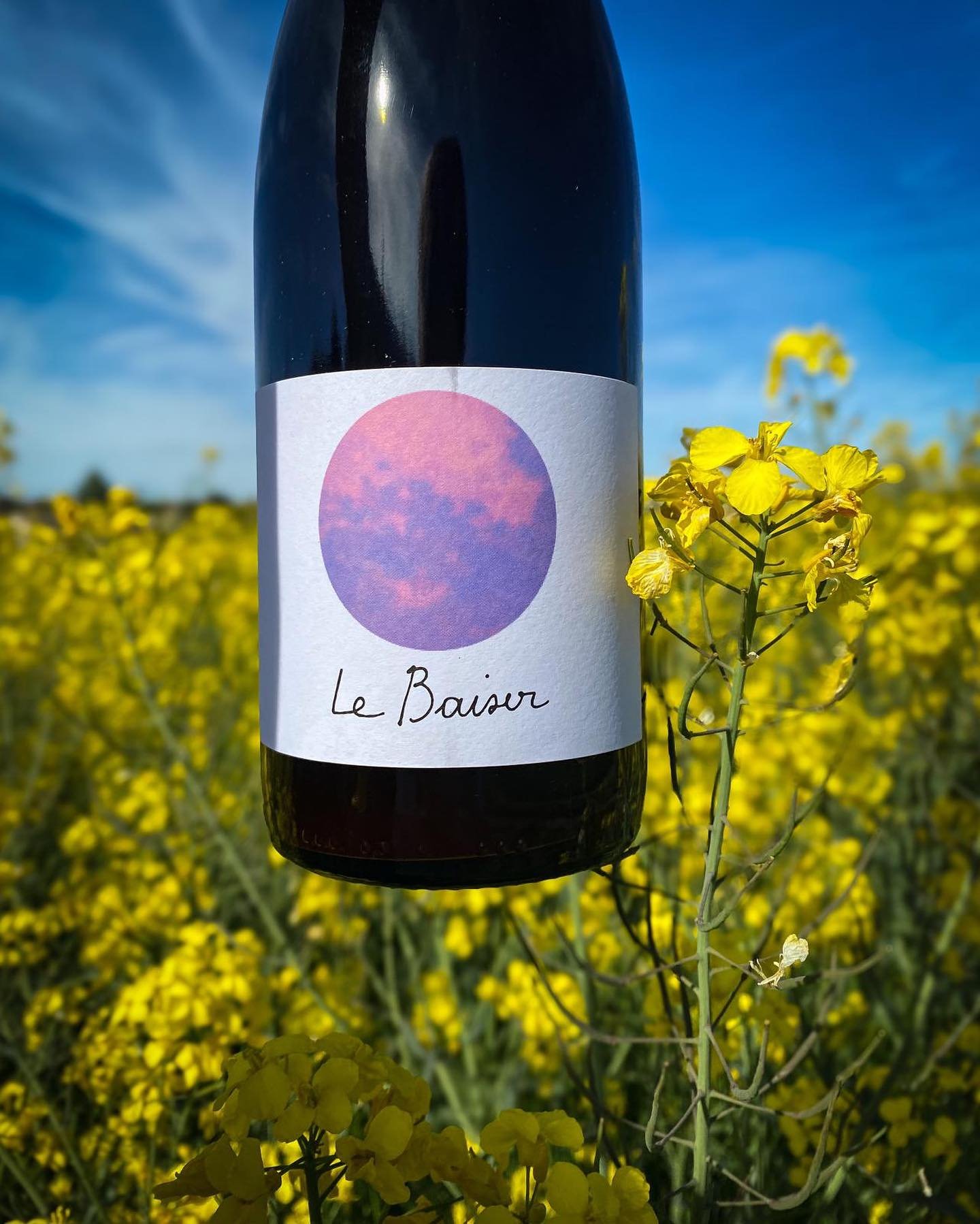 𝙇𝙚 𝘽𝙖𝙞𝙨𝙚𝙧 - 𝙍𝙖𝙥𝙝𝙖𝙚𝙡𝙡𝙚 𝙂𝙪𝙮𝙤𝙩

Rapha&euml;lle, jeune vigneronne install&eacute;e dans l&rsquo;Yonne entre Puisaye et Forterre, signe ici une superbe cuv&eacute;e de Pinot Noir tout en &eacute;quilibre ! 

D&rsquo;autres cuv&eacute