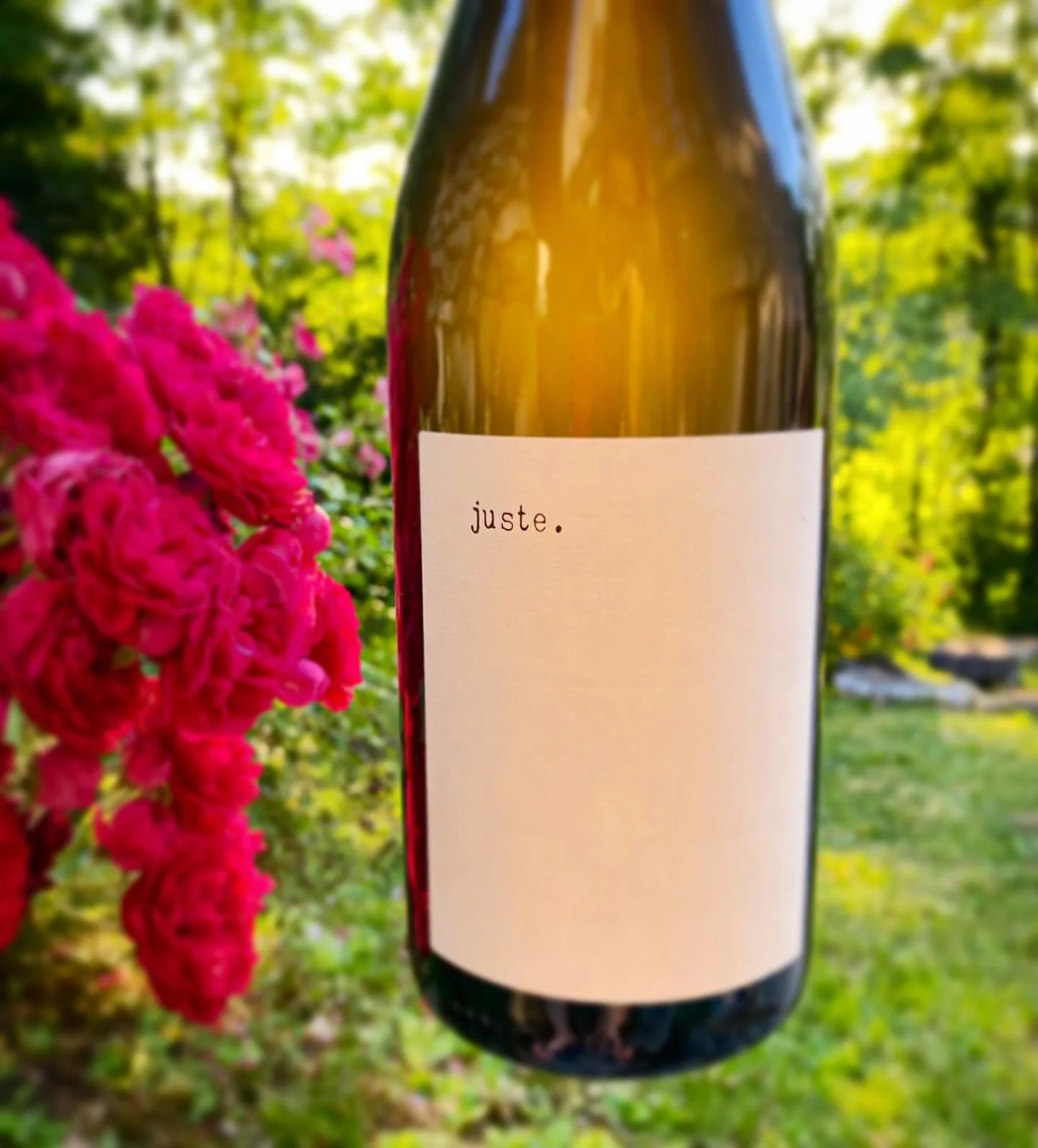 It’s Chenin Week ! 🤙🏼
Alors quoi de mieux que Juste le blanc … des Justices pour célébrer ?! @fandechenin
#juste #justeleblanc #lesjustices #chenin #cheninfanweek #fandechenin #saumur #loire #naturel #rawwine #bio #ca
