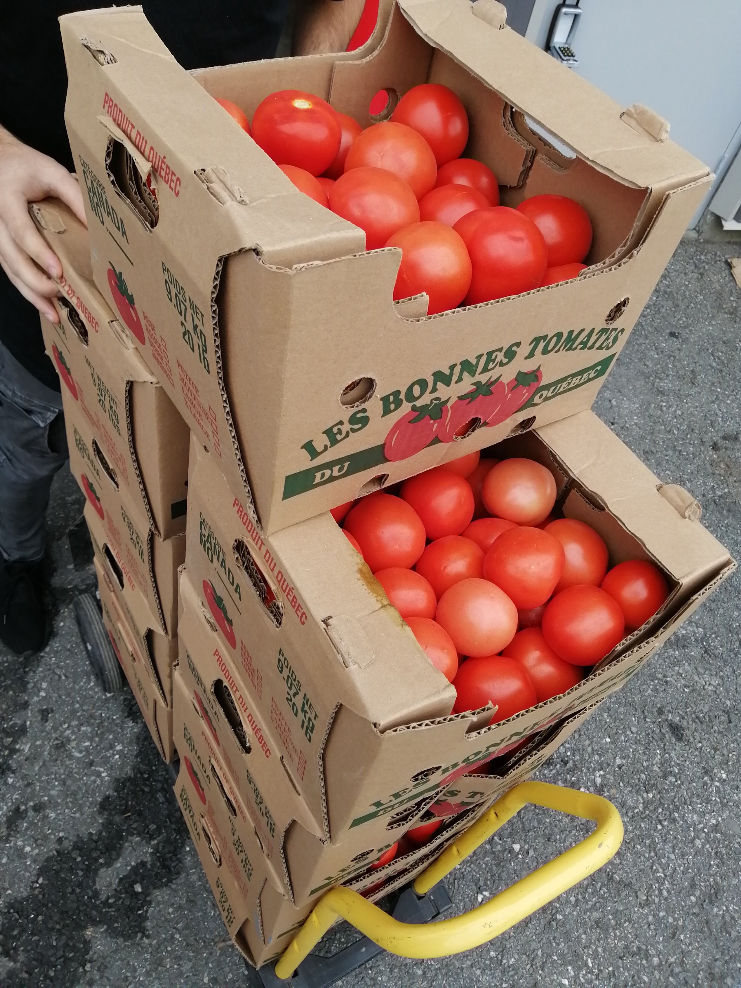 C'est quoi le gaspillage alimentaire au Québec?