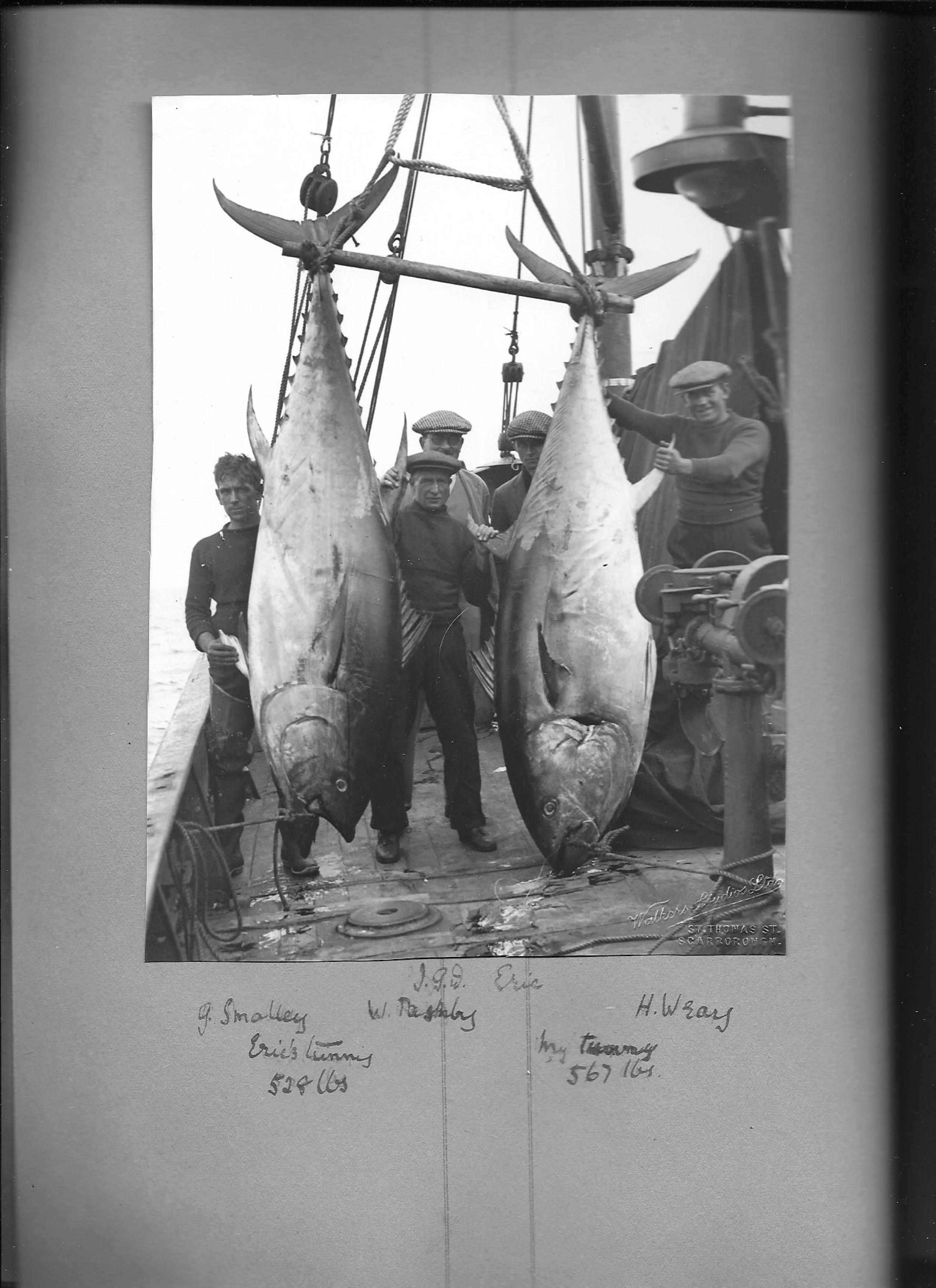 History-of-tuna-13.png