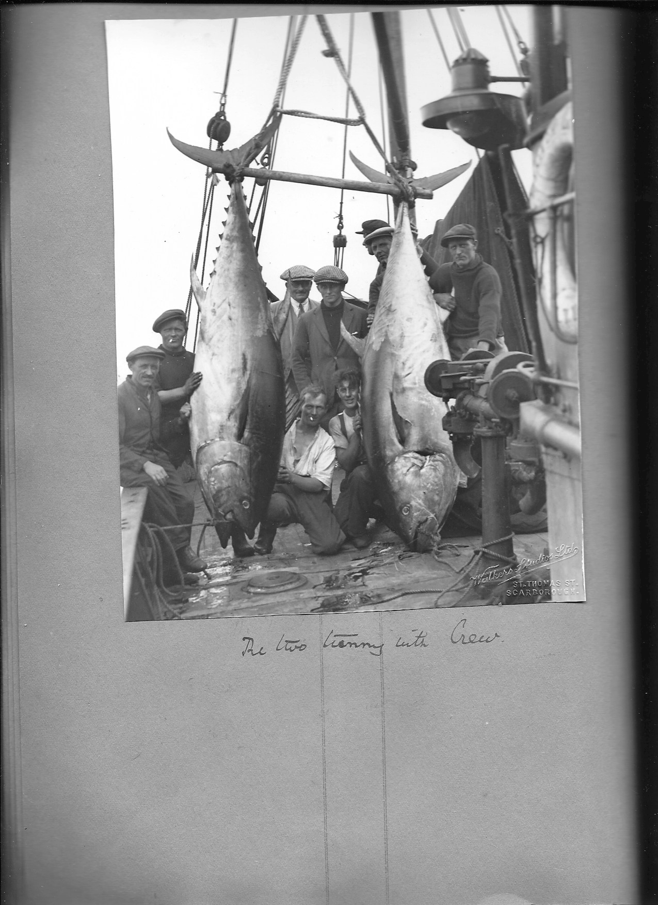 History-of-tuna-17.png