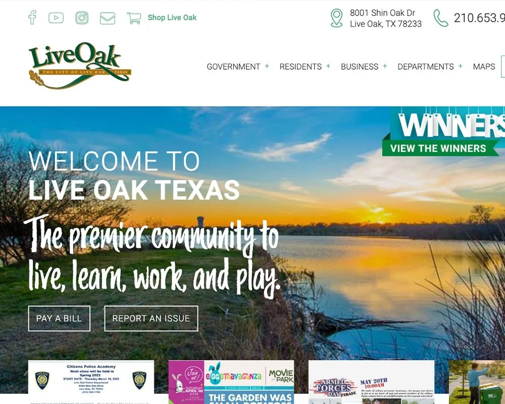 live-oak_thumb.jpg