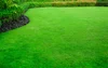 The Turf Doctor Maine S Best Lawn Care Pest Services