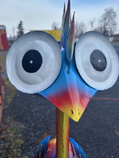 emu eyes.jpg
