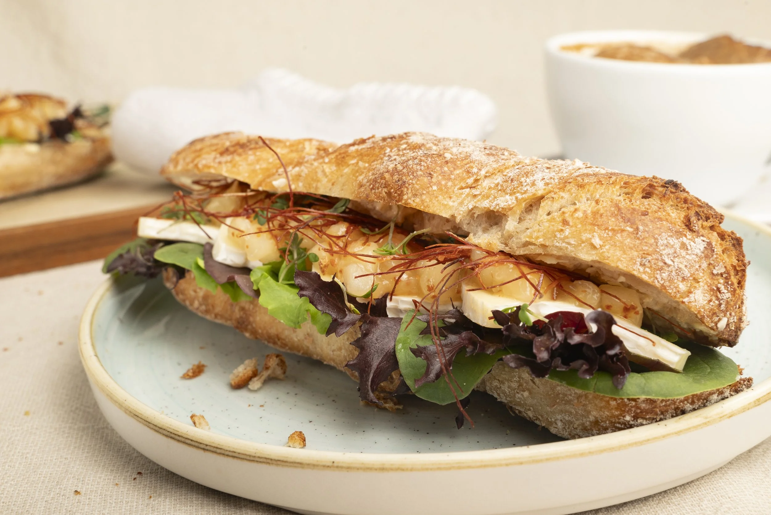 Ein Sandwich mit frischem Baguette, Salat, Käse, eingelegten Zwiebeln und Sprossen auf einem weißen Teller.
