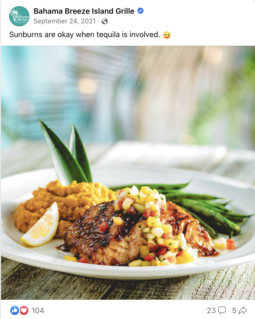 Screen Shot 2023-04-06 at 1.03.09 AM.png