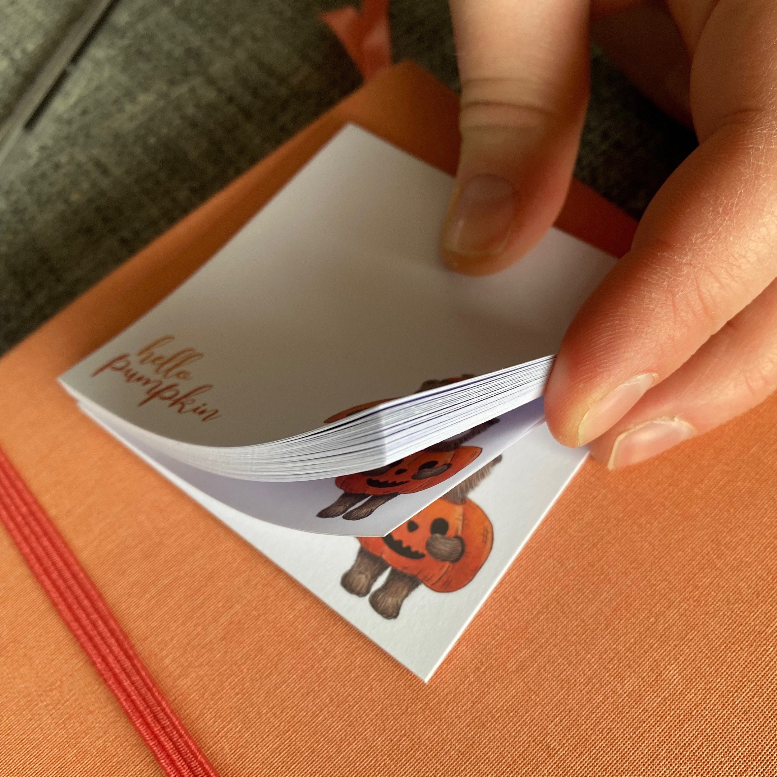 https://i.etsystatic.com/16832759/r/il/5be384/4778902027/il_fullxfull.4778902027_e1qe.jpg