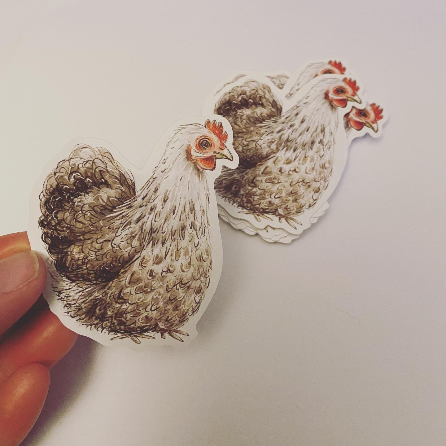 https://i.etsystatic.com/16832759/r/il/85055b/4473375860/il_fullxfull.4473375860_l6ja.jpg