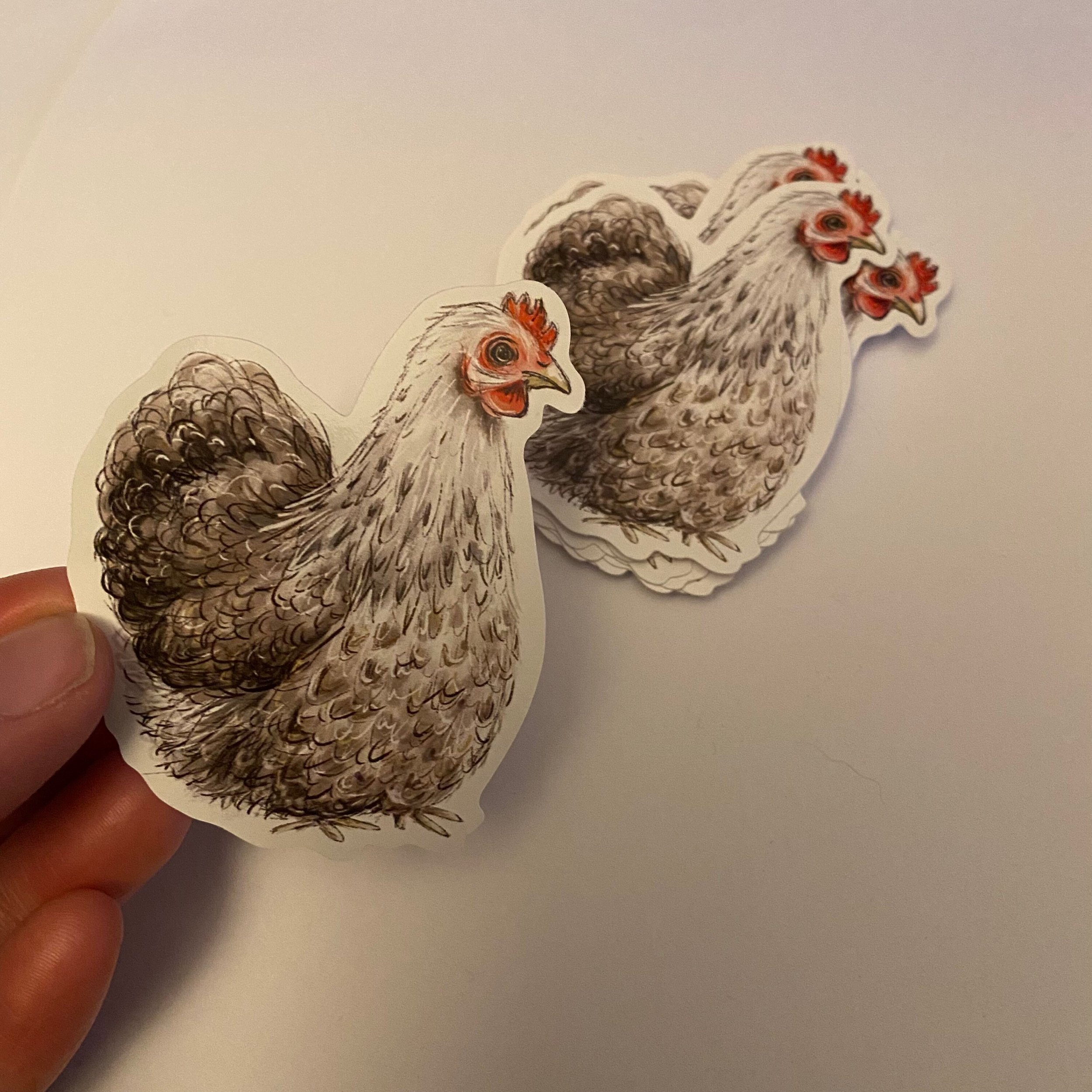 https://i.etsystatic.com/16832759/r/il/5b361c/4473375878/il_fullxfull.4473375878_gkpq.jpg