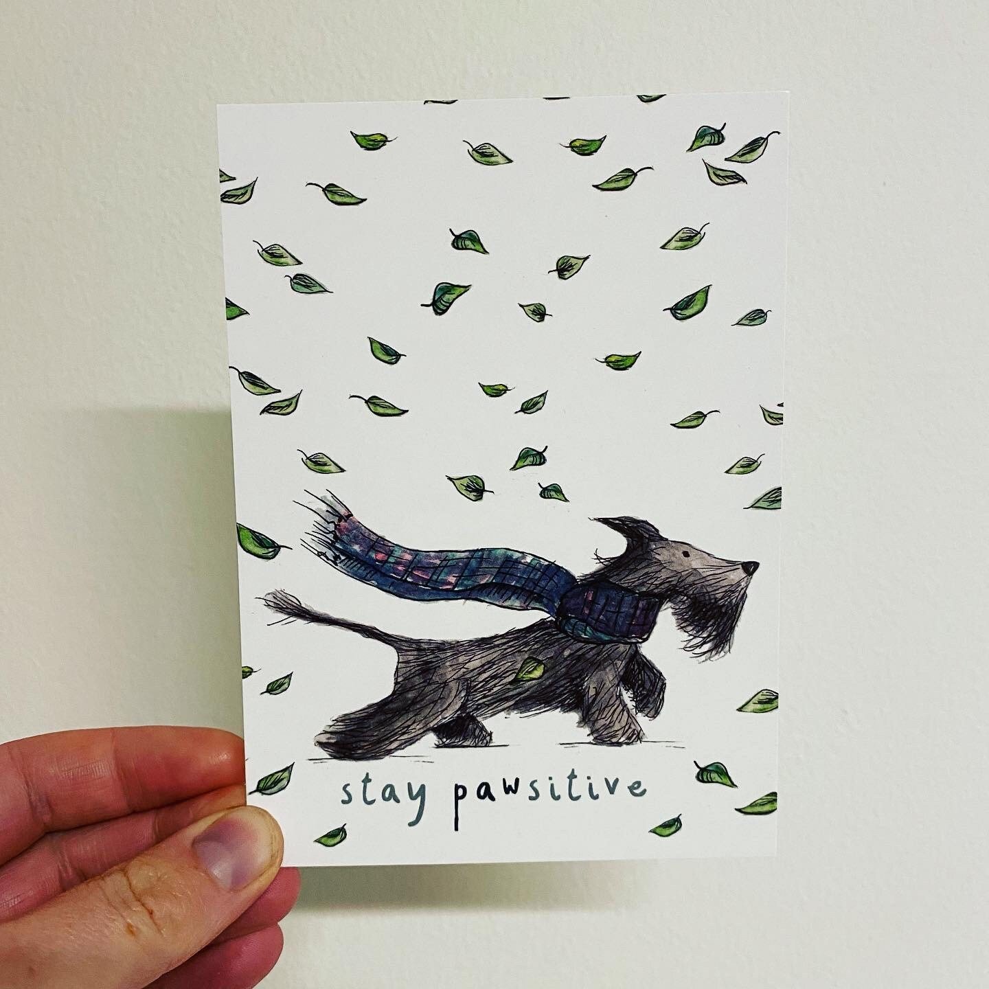 https://i.etsystatic.com/16832759/r/il/f611f6/4124900289/il_fullxfull.4124900289_qzie.jpg