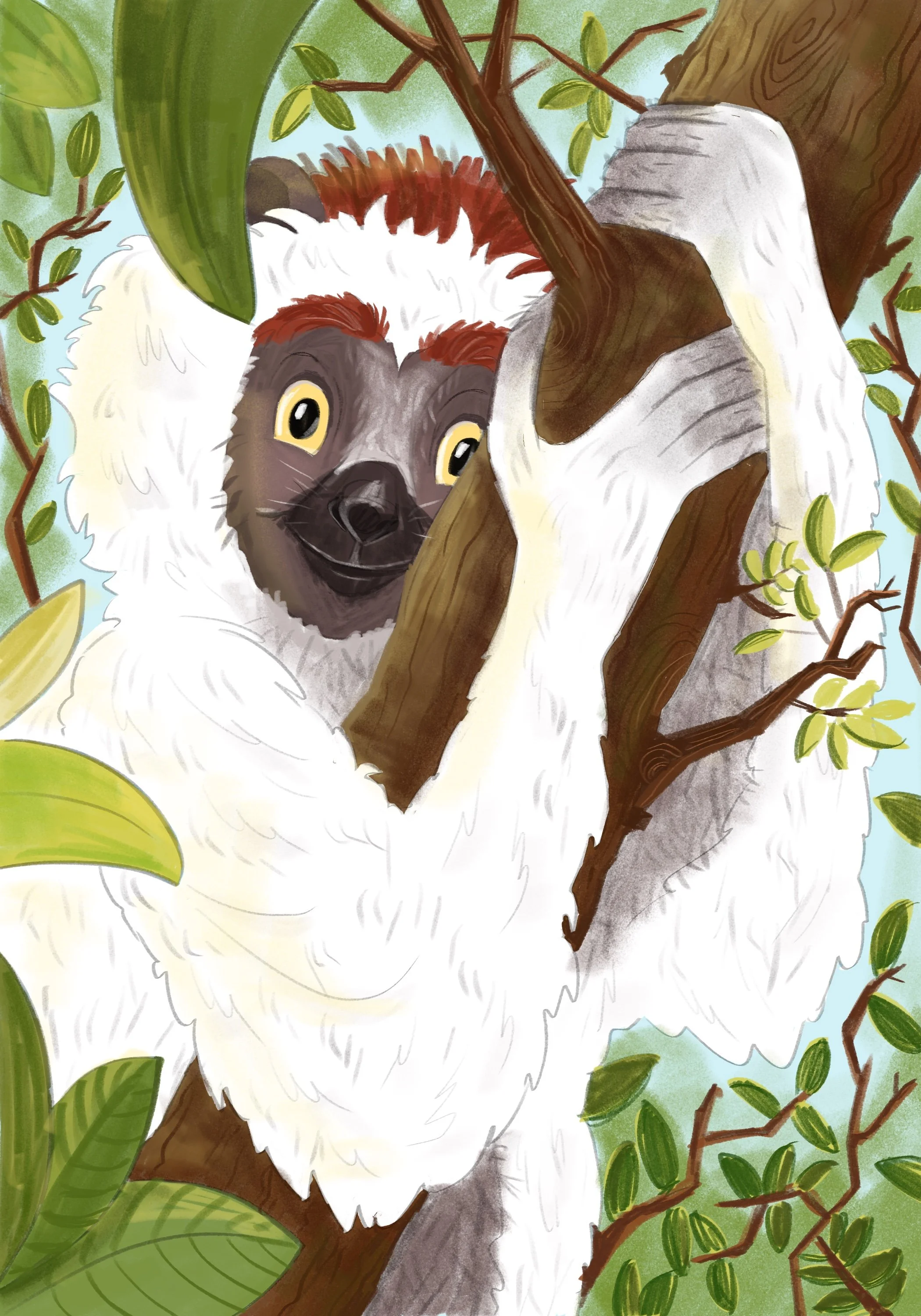 Lemur.jpg