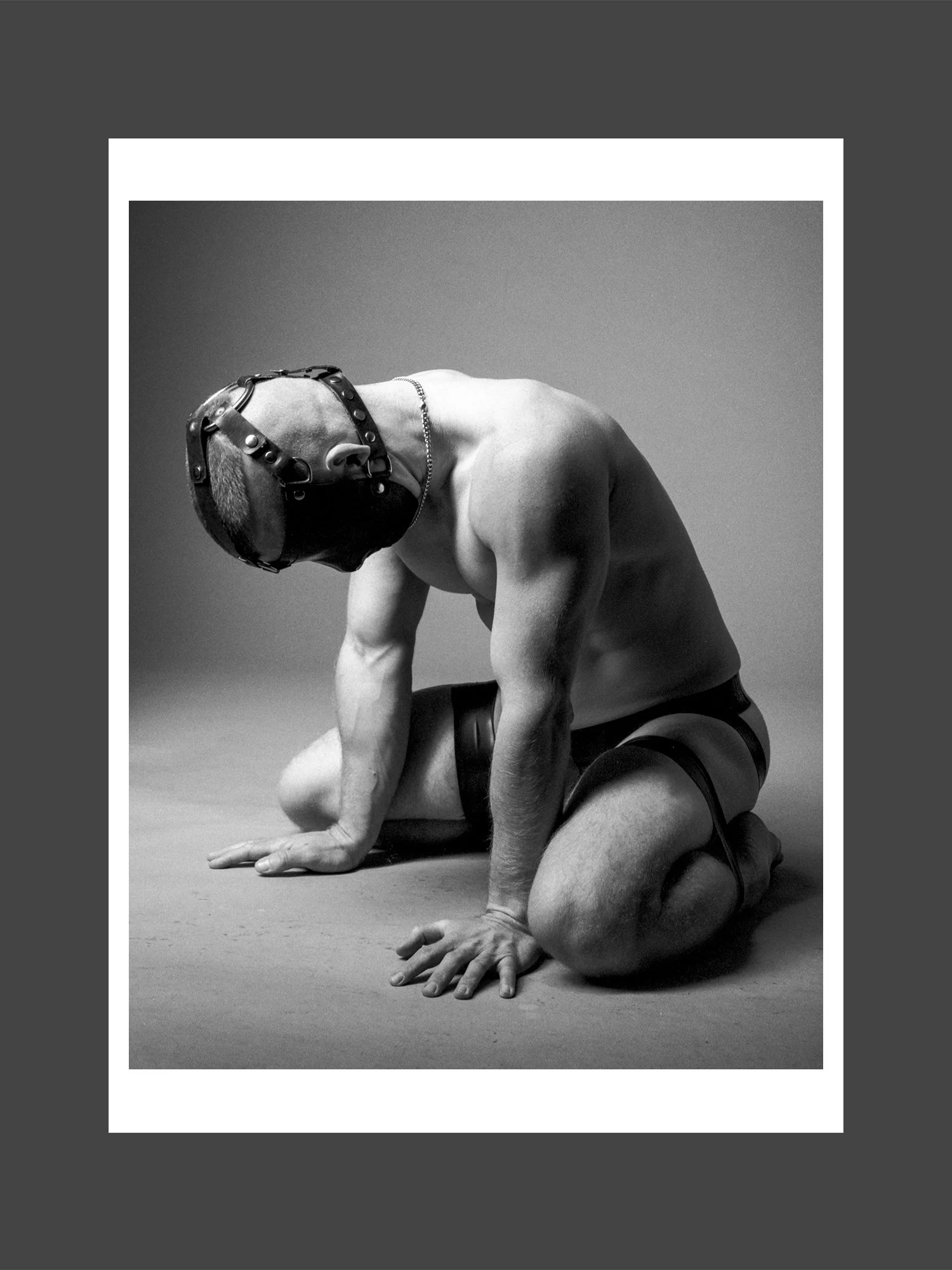 PreviewsAdrian Pup.jpg