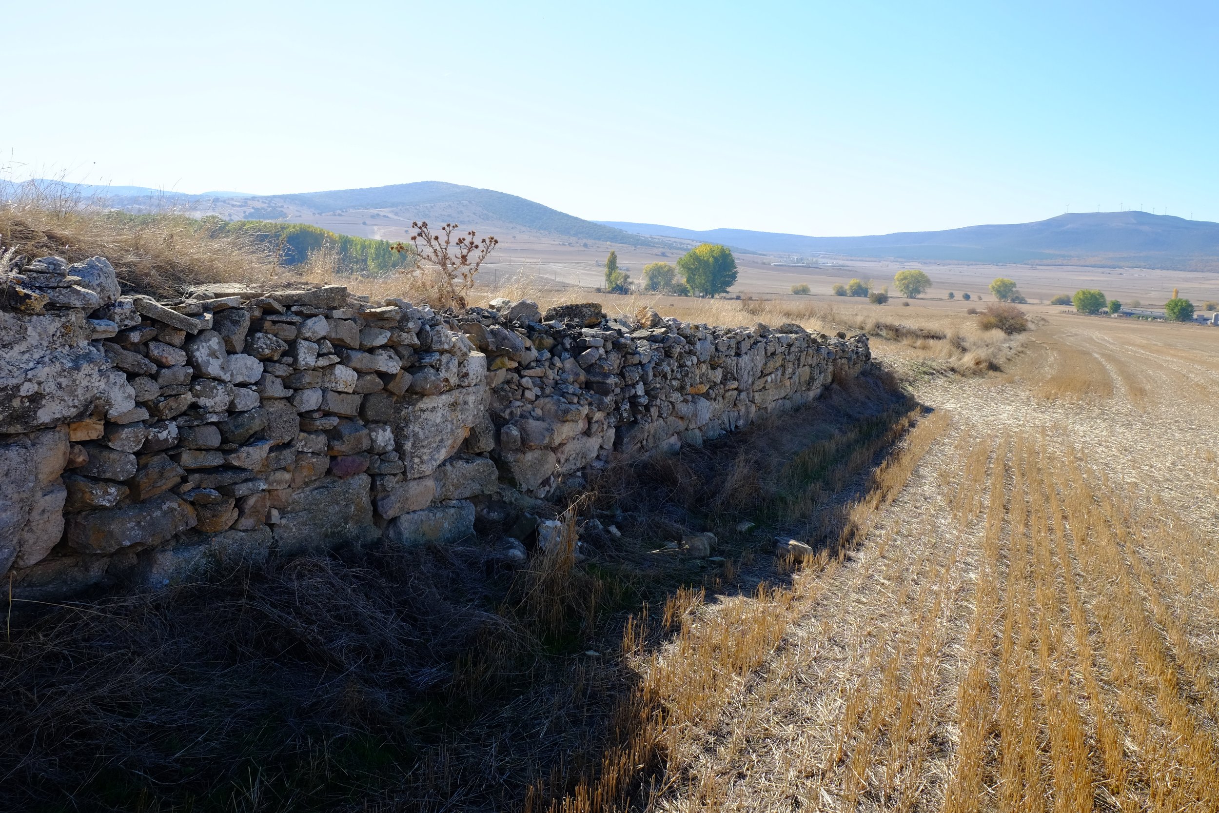   Ruins of defensive wall of Arekoratas/Augustóbriga in Muro de Ágreda, Soria province of Spain  