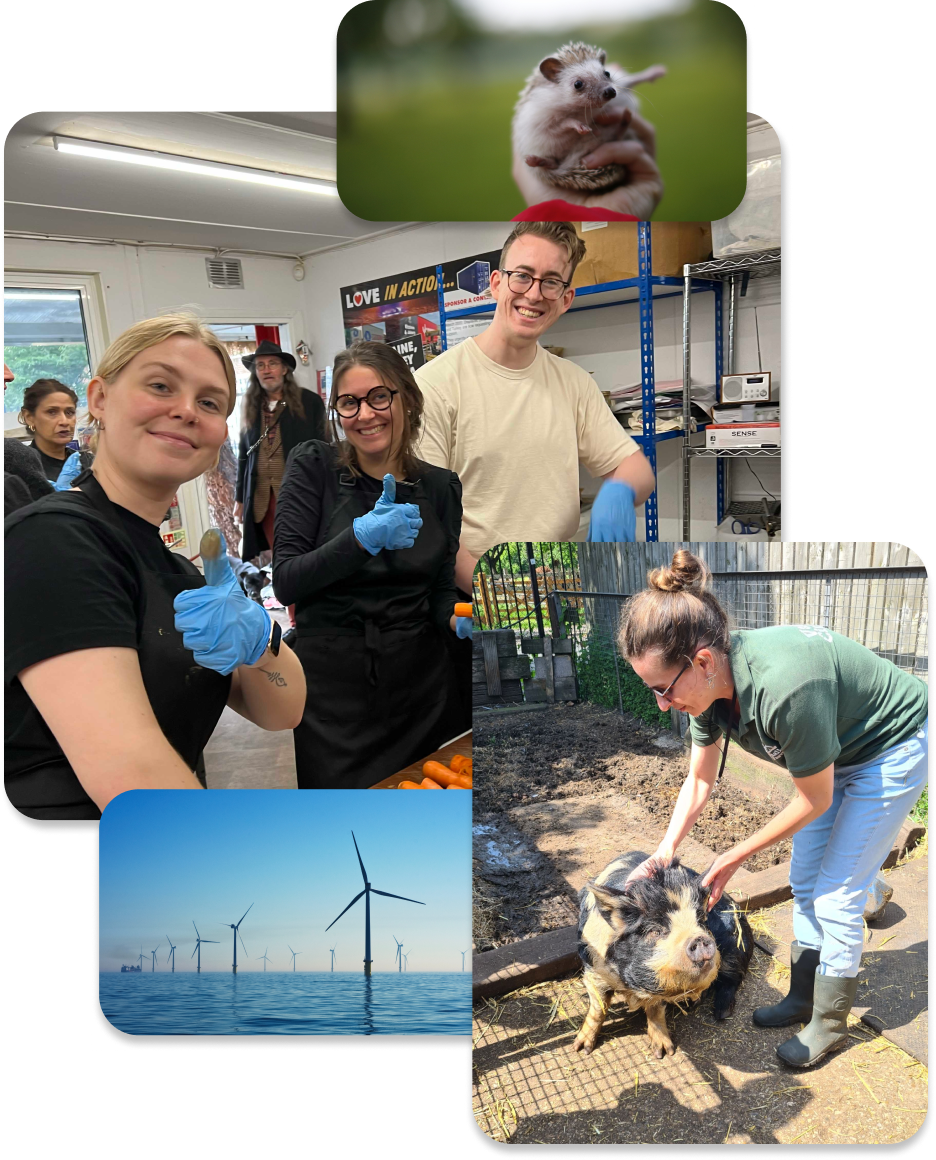 Matchable Employee Volunteering Experiences | Group or Remote