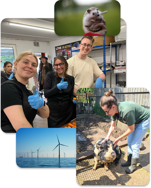 Employee Volunteering Experiences | Group or Remote